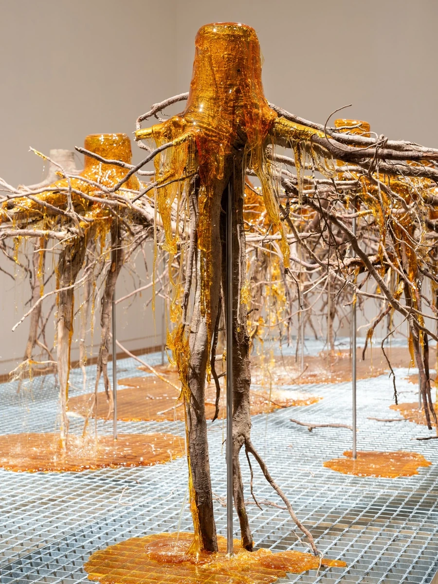 Żywica* Solar Plexus by Jura Shust, photographed by Maciej Landsberg — Żywica* Solar Plexus, tree resin poured over young spruce roots on a metal grating platform.