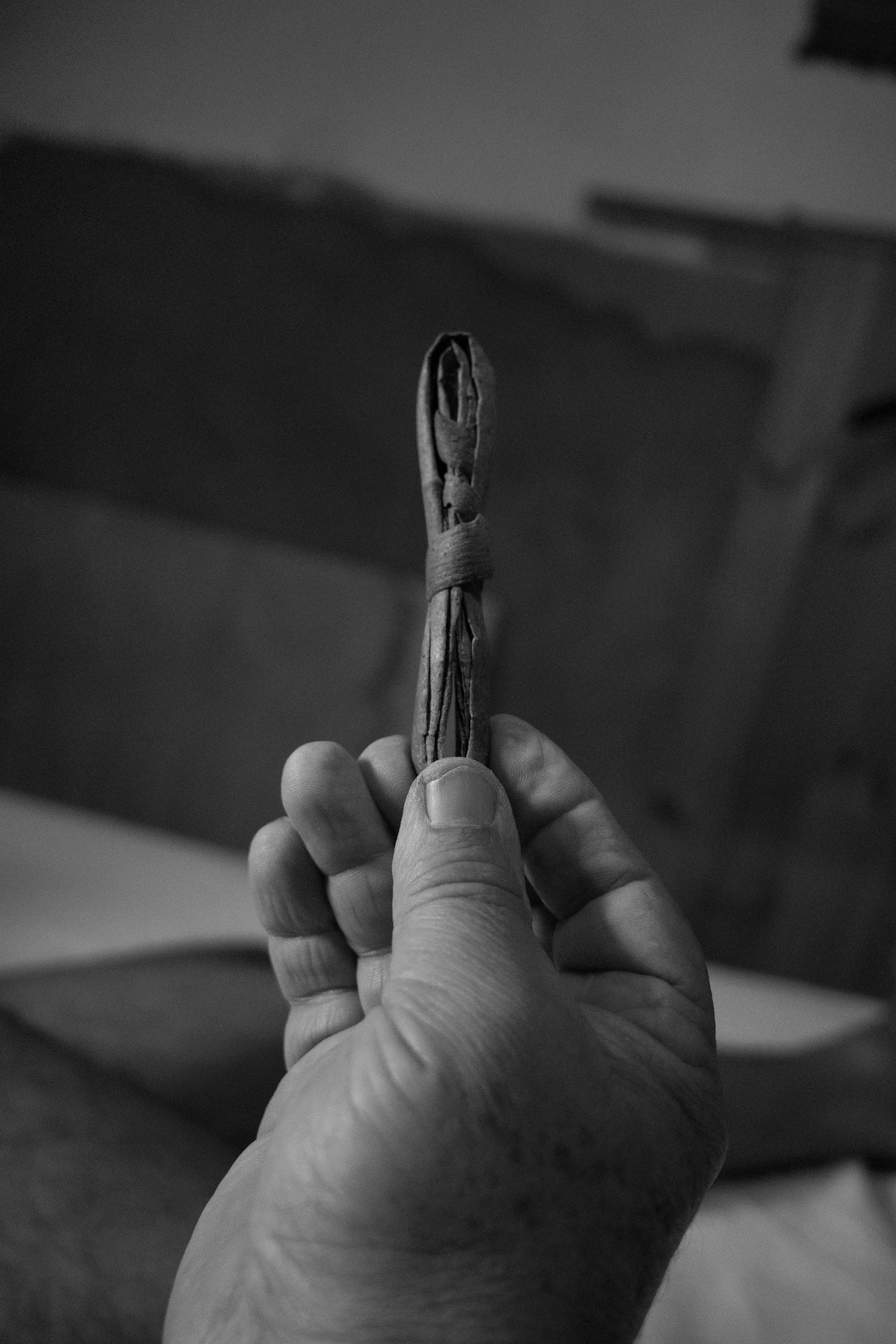 An Island Within the Island by succco, photographed by succco — A hand holds up a small bundle of dried roots and twigs bound with cord, a dim interior behind.