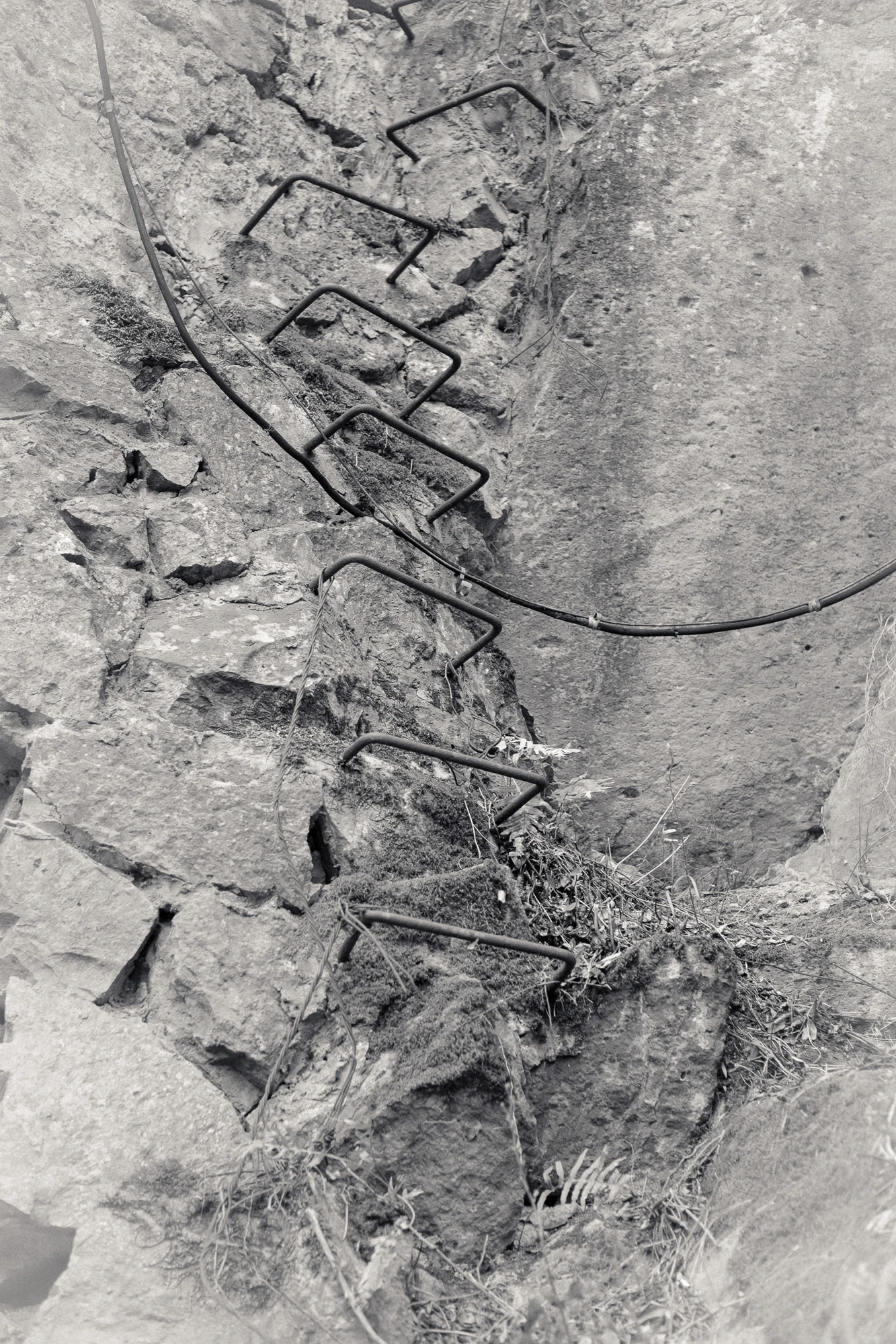 An Island Within the Island by succco, photographed by succco — Iron staples driven into a fractured rock face make a rough ladder, moss and dry weeds in the cracks, a black cable crossing the frame.