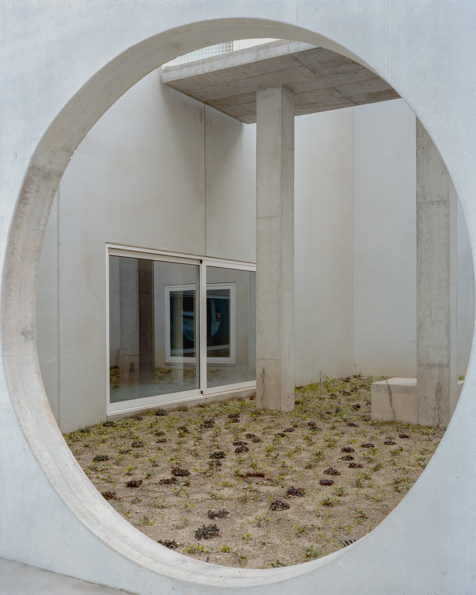 Corcet Headquarters by Nuno M. Sousa, photographed by Federico Farinatti, Francisco Ascensão — A large circular opening frames a planted courtyard, a single column and a glazed wall standing beyond a floor of low ground plants.