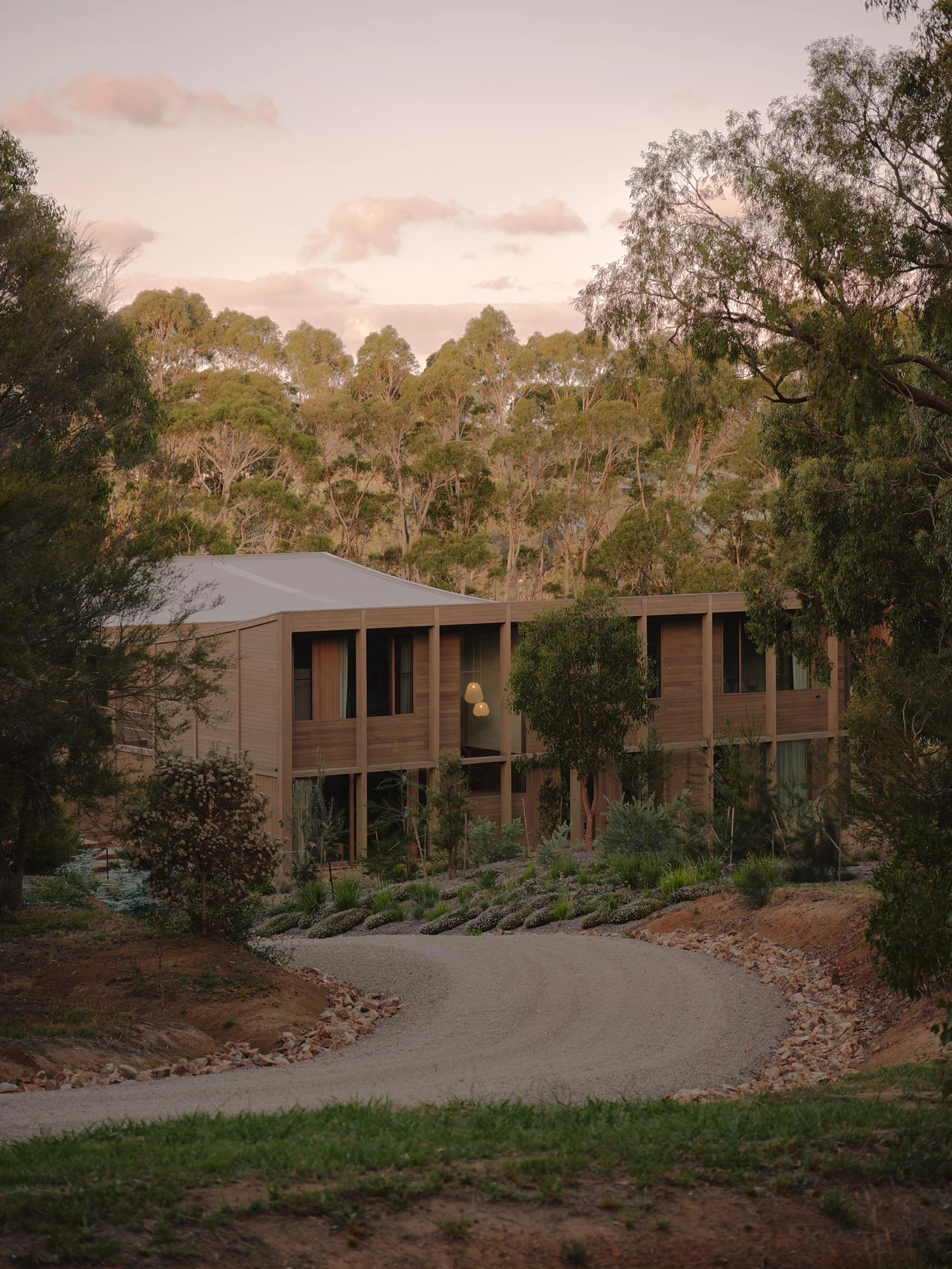 The Farm by Wolveridge Architects, photographed by Jack Carlin — At dusk the two-storey timber house shows its blackbutt post-and-beam grid and pale folded roof above a curving gravel drive and a planted embankment, a wall of eucalypts behind under a…