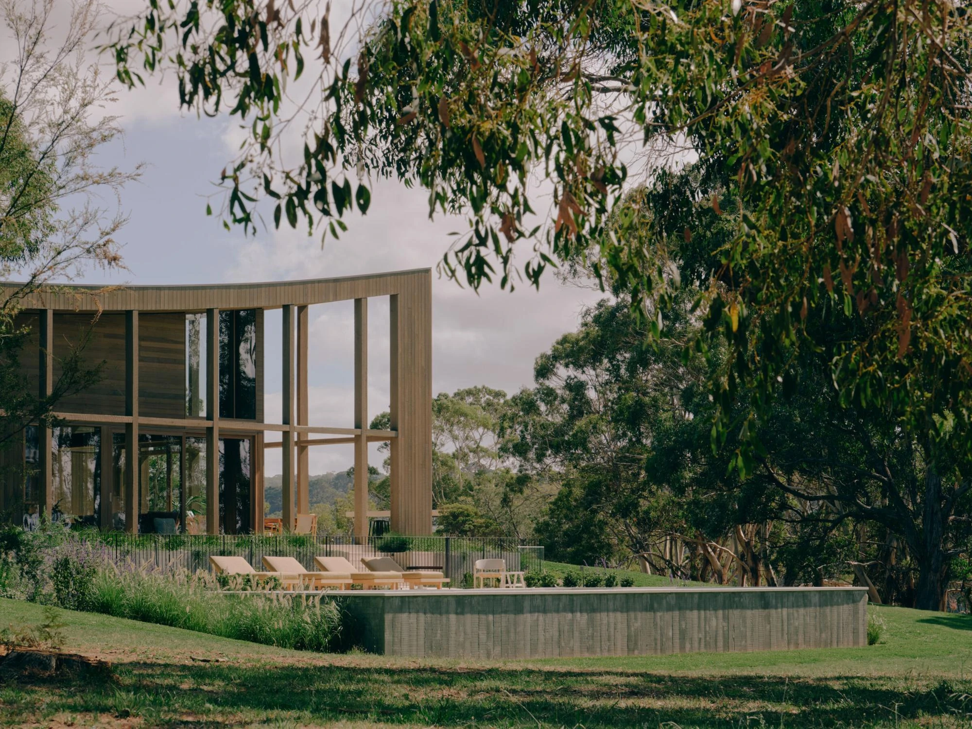The Farm by Wolveridge Architects, photographed by Jack Carlin — The curved-roofed living pavilion is glimpsed through eucalyptus branches, its double-height glazing beside a raised lap pool and a row of timber sun loungers on the lawn.