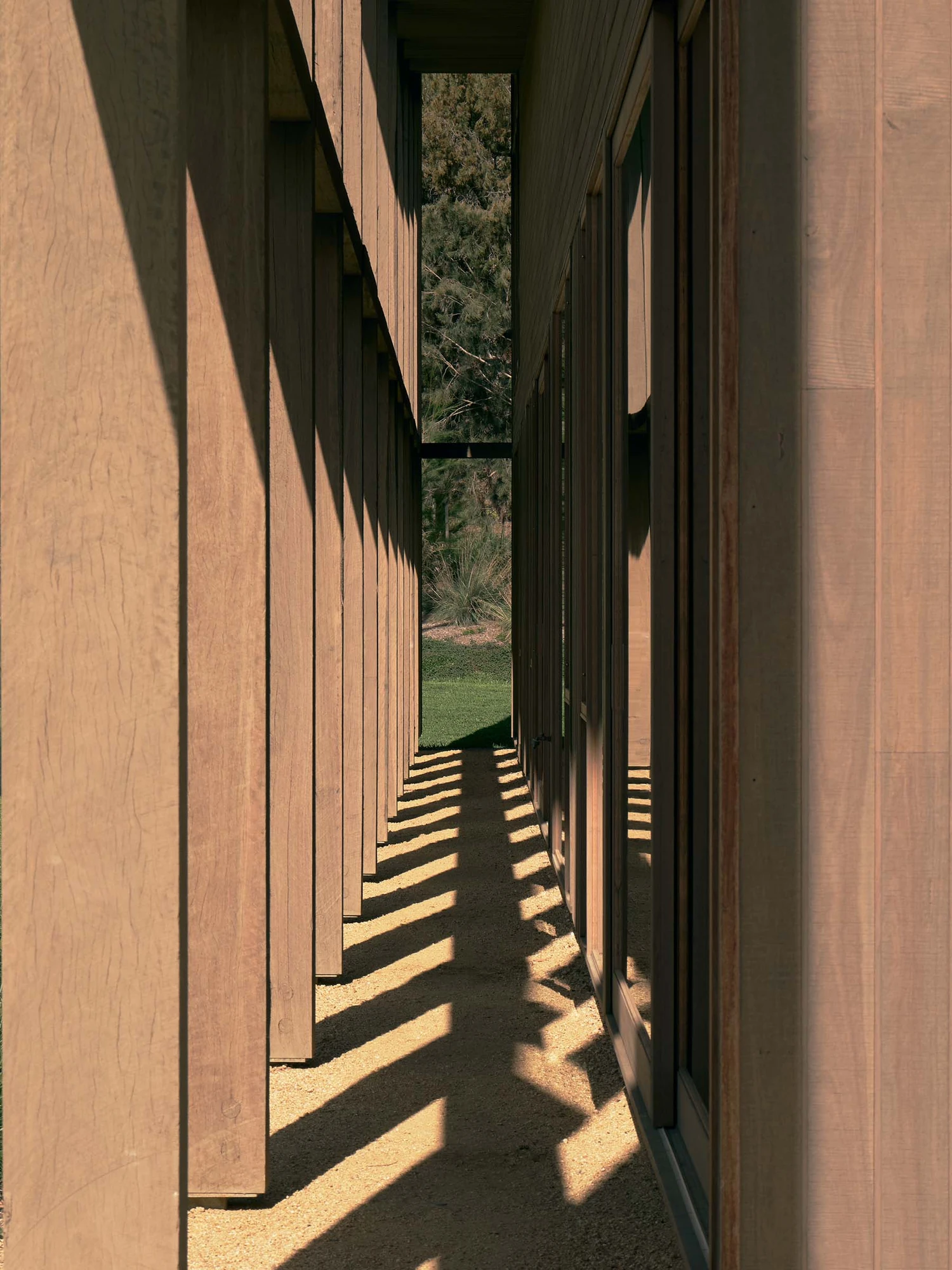 The Farm by Wolveridge Architects, photographed by Jack Carlin — A narrow service passage runs between a colonnade of timber posts and a glazed wall, the posts casting striped shadows across gravel toward a grasstree and forest at its end.