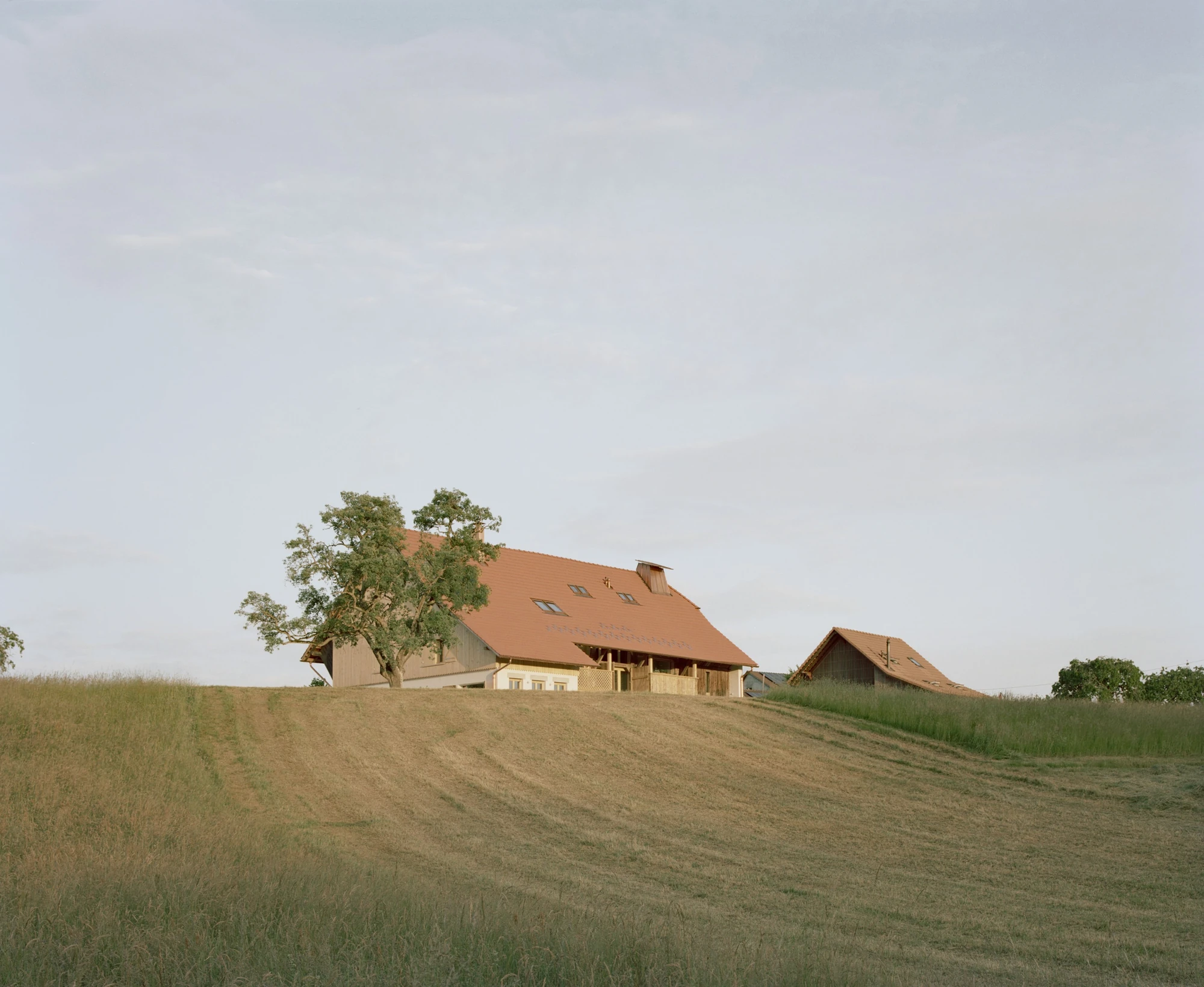 Conversion of a Farmhouse into Six Apartments by Noue Studio, photographed by Willem Pab — The farmhouse on its rise above mown fields, a second barn beyond.