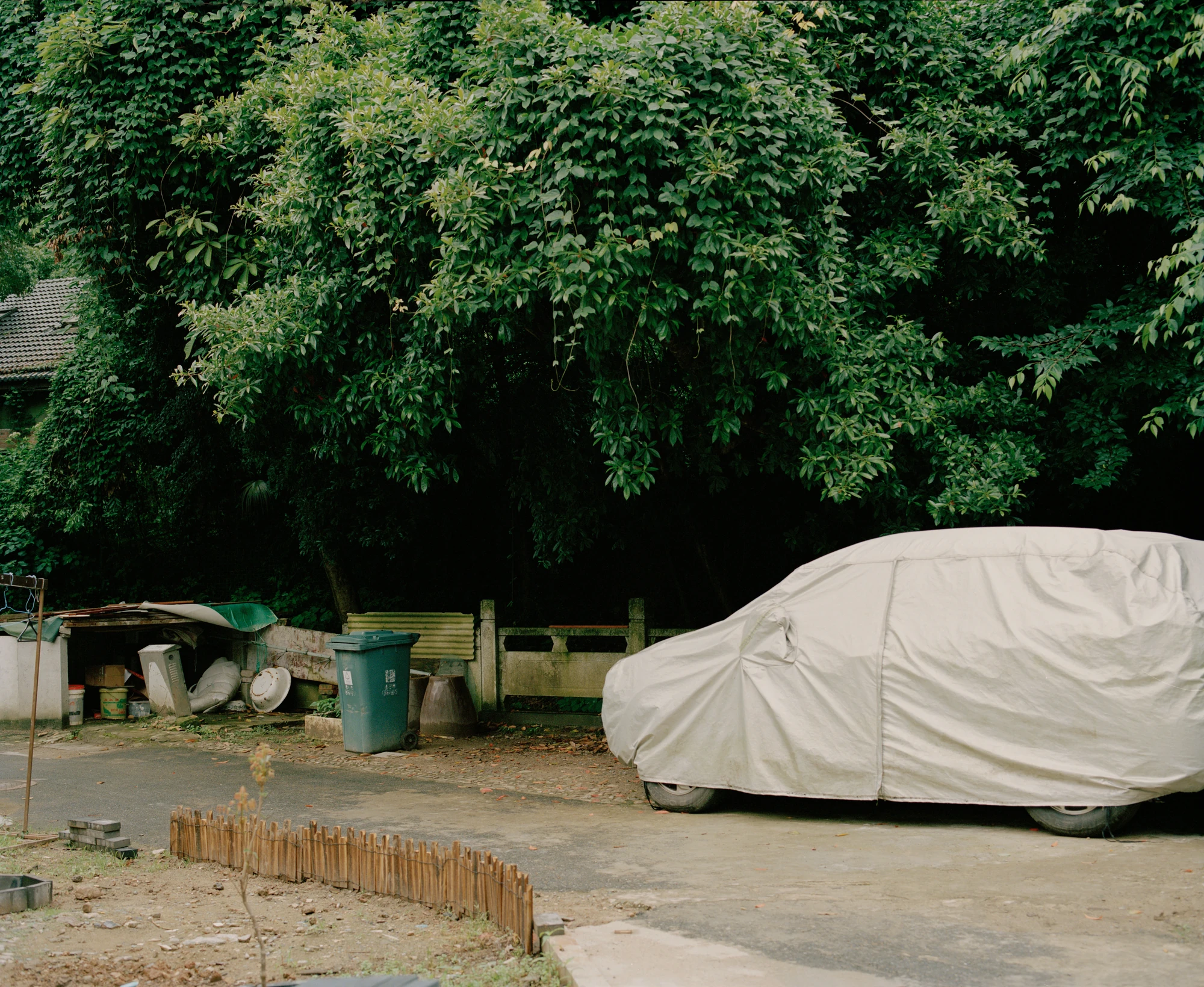L Hermit House II by Common Wonder, photographed by Willem Pab, Eva Candela — A covered car parked along the lane below dense trees.
