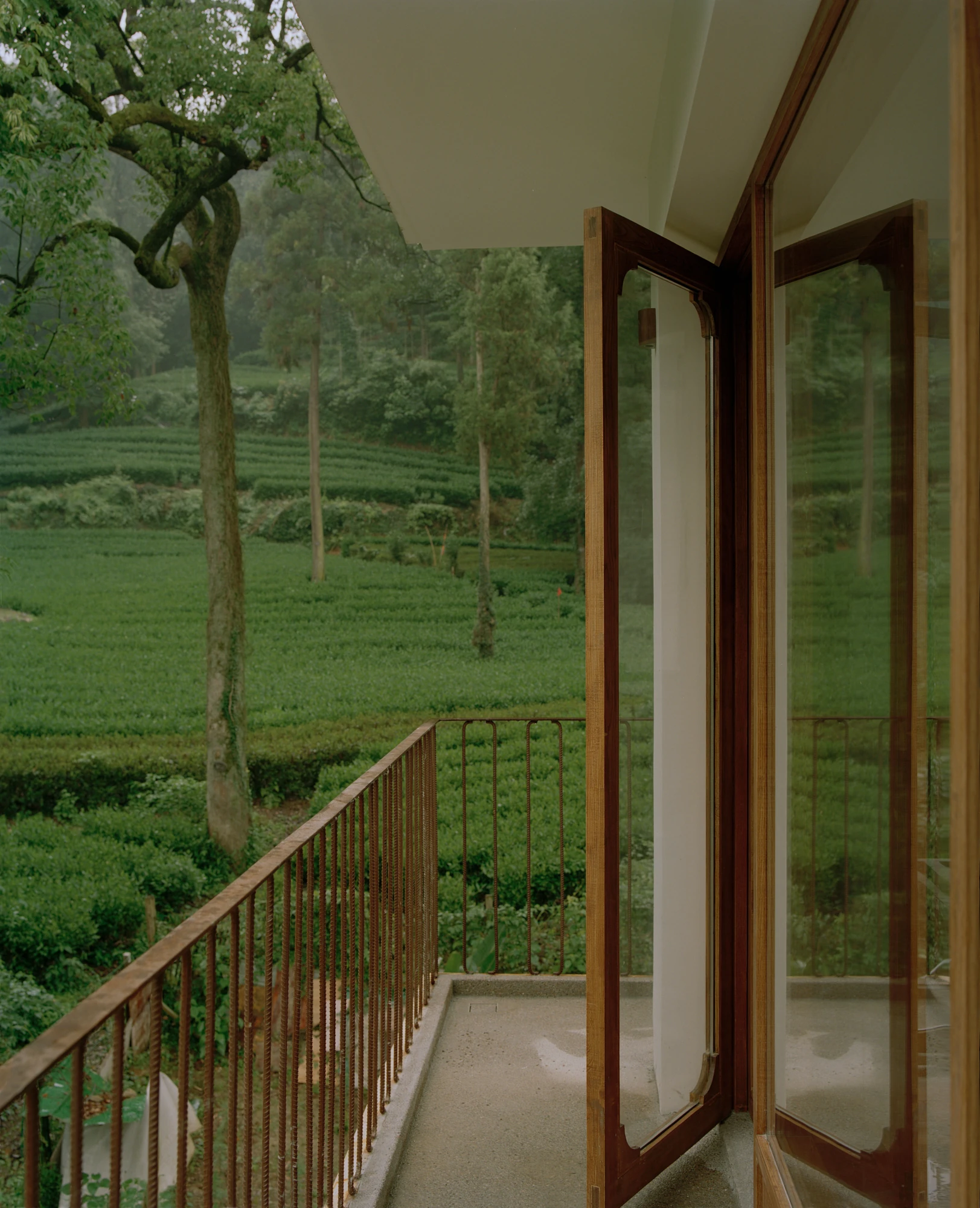 L Hermit House II by Common Wonder, photographed by Willem Pab, Eva Candela — The balcony itself, timber-framed doors swung open above the tea fields and a single tall tree.