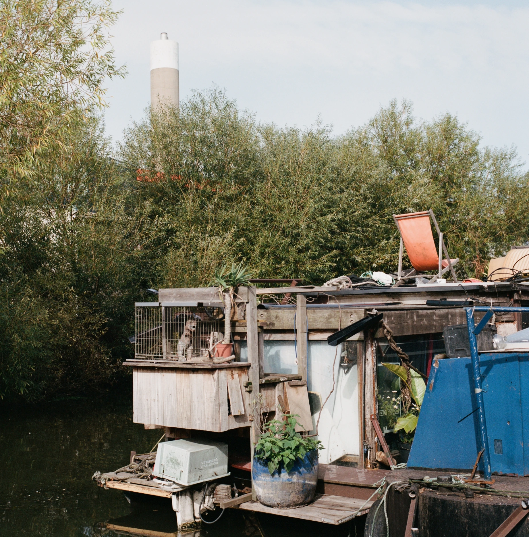 Along the River Lea by Mattia Corato, photographed by Mattia Corato — Edmonton: a boat moored against trees along the river, its deck crowded with objects.