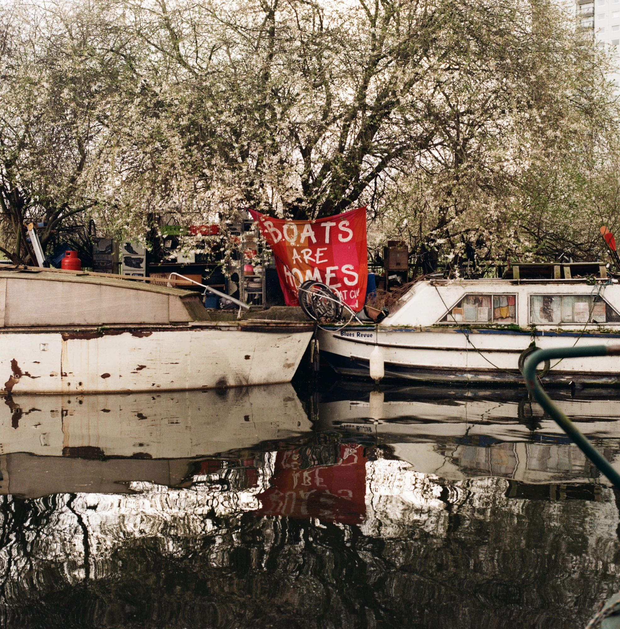 Along the River Lea by Mattia Corato, photographed by Mattia Corato — Daubeney Fields: boats moored beneath trees along the river.