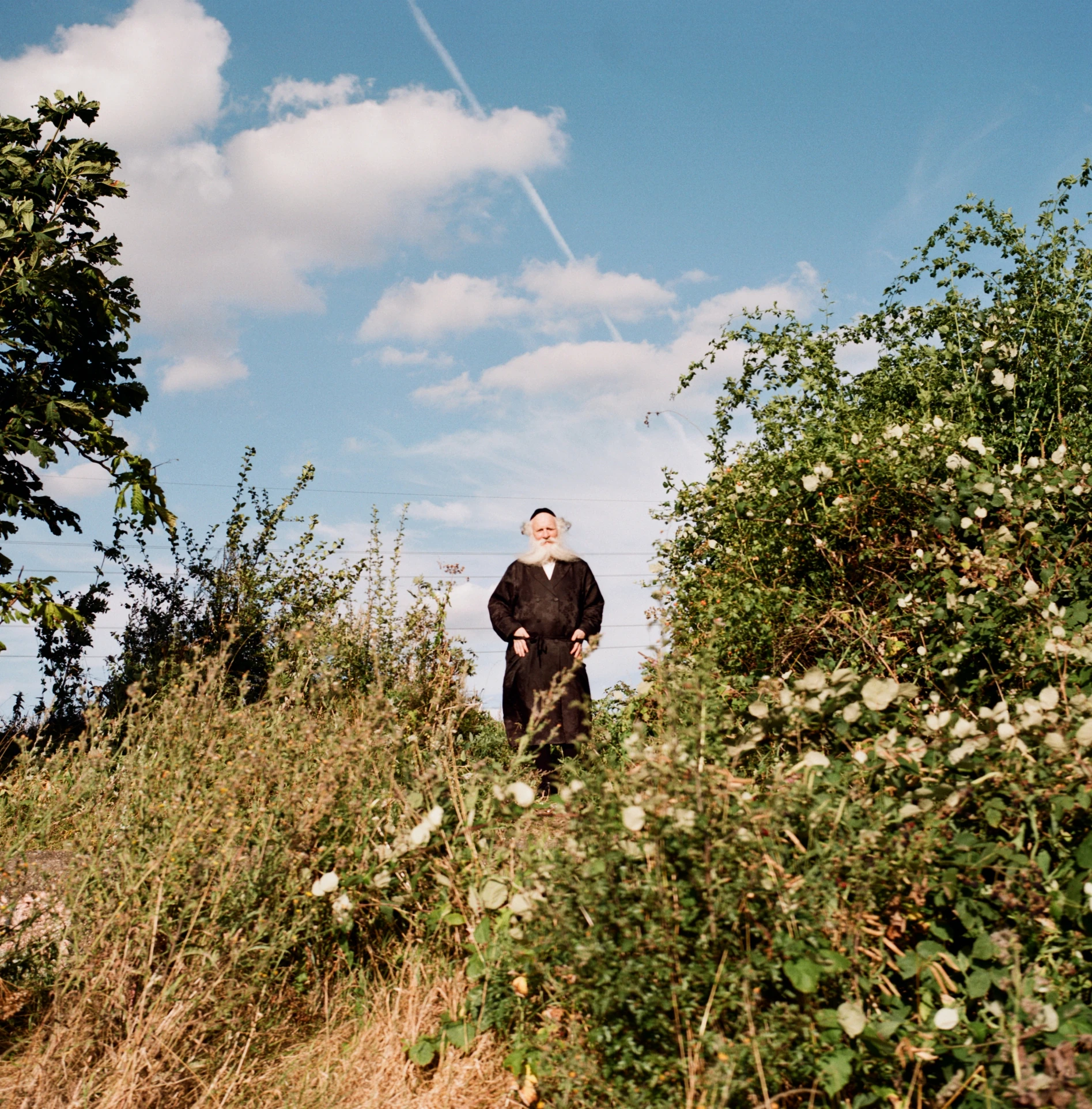 Along the River Lea by Mattia Corato, photographed by Mattia Corato — Herman, standing among tall grass and shrubs.