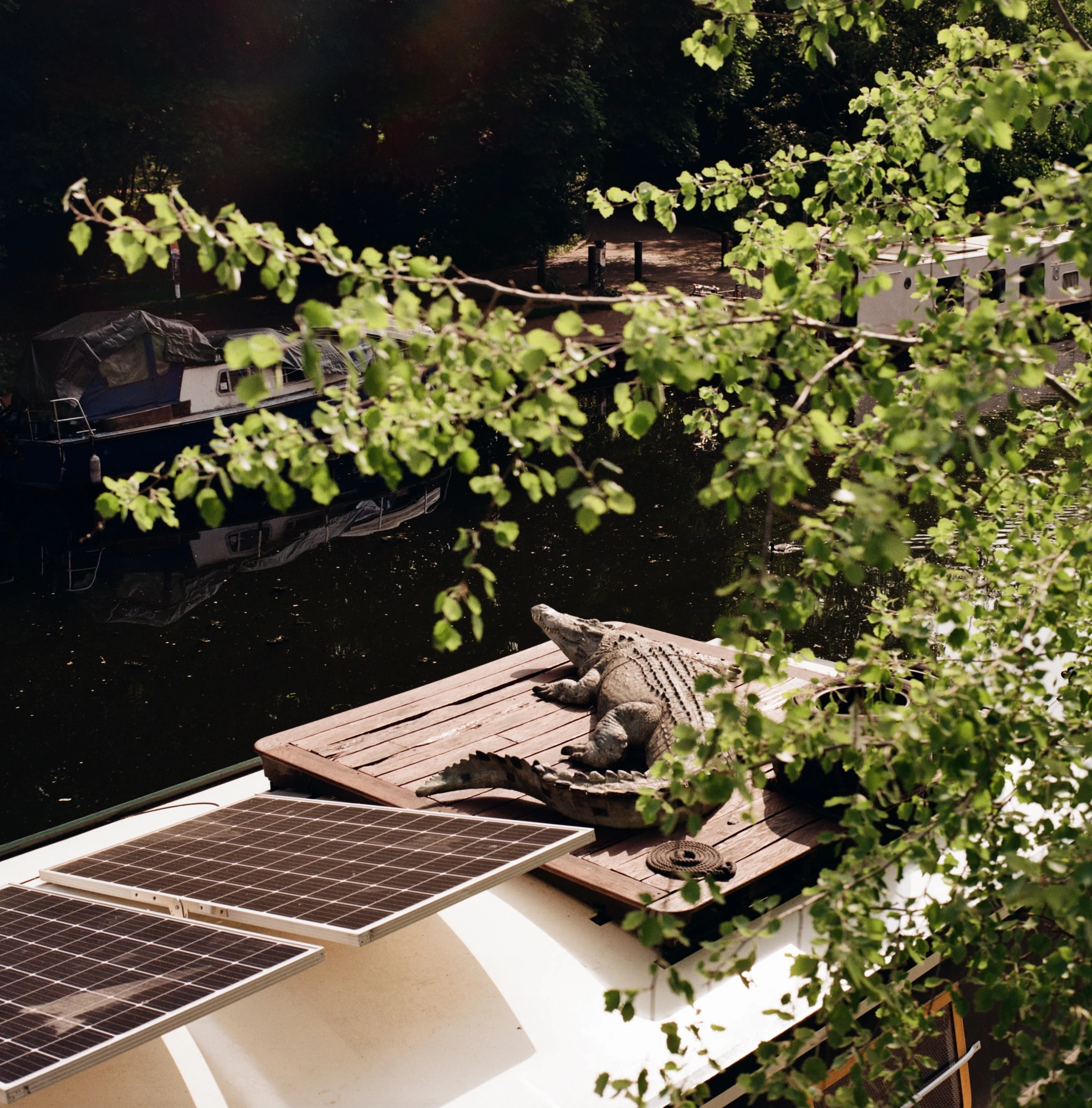 Along the River Lea by Mattia Corato, photographed by Mattia Corato — Homerton: the deck of a moored boat seen through overhanging branches, other boats beyond.