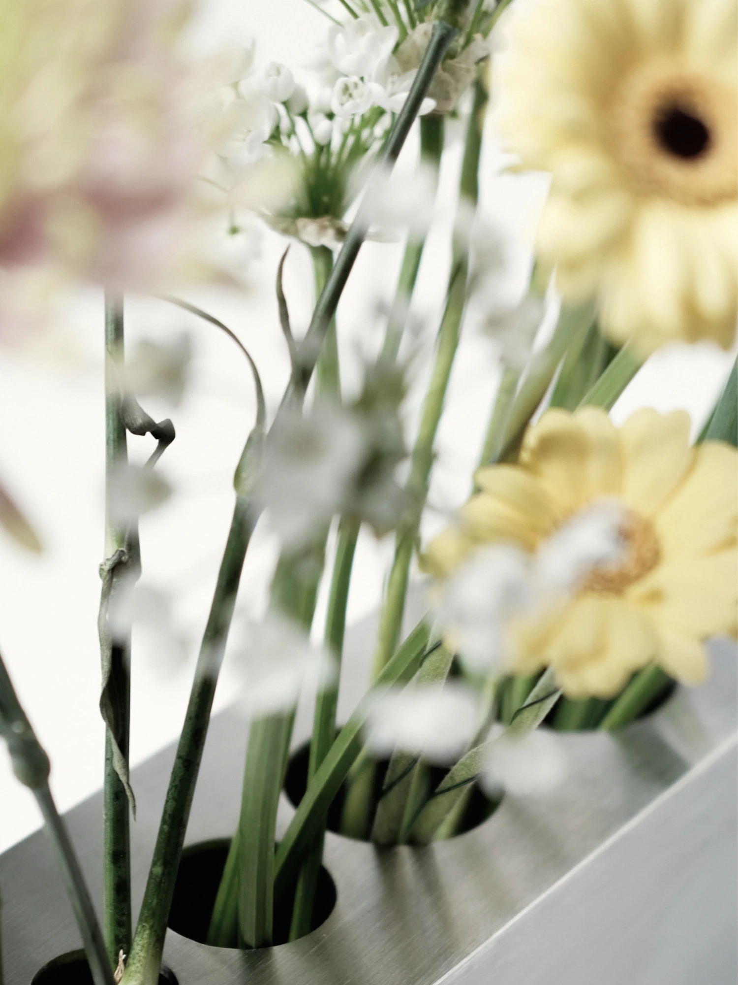 Apropos VASE-21 by Non-Objective, photographed by Elena Gavrilenko — Close view of mixed stems set into the openings of VASE-21, yellow and white blooms leaning over the stainless steel edge