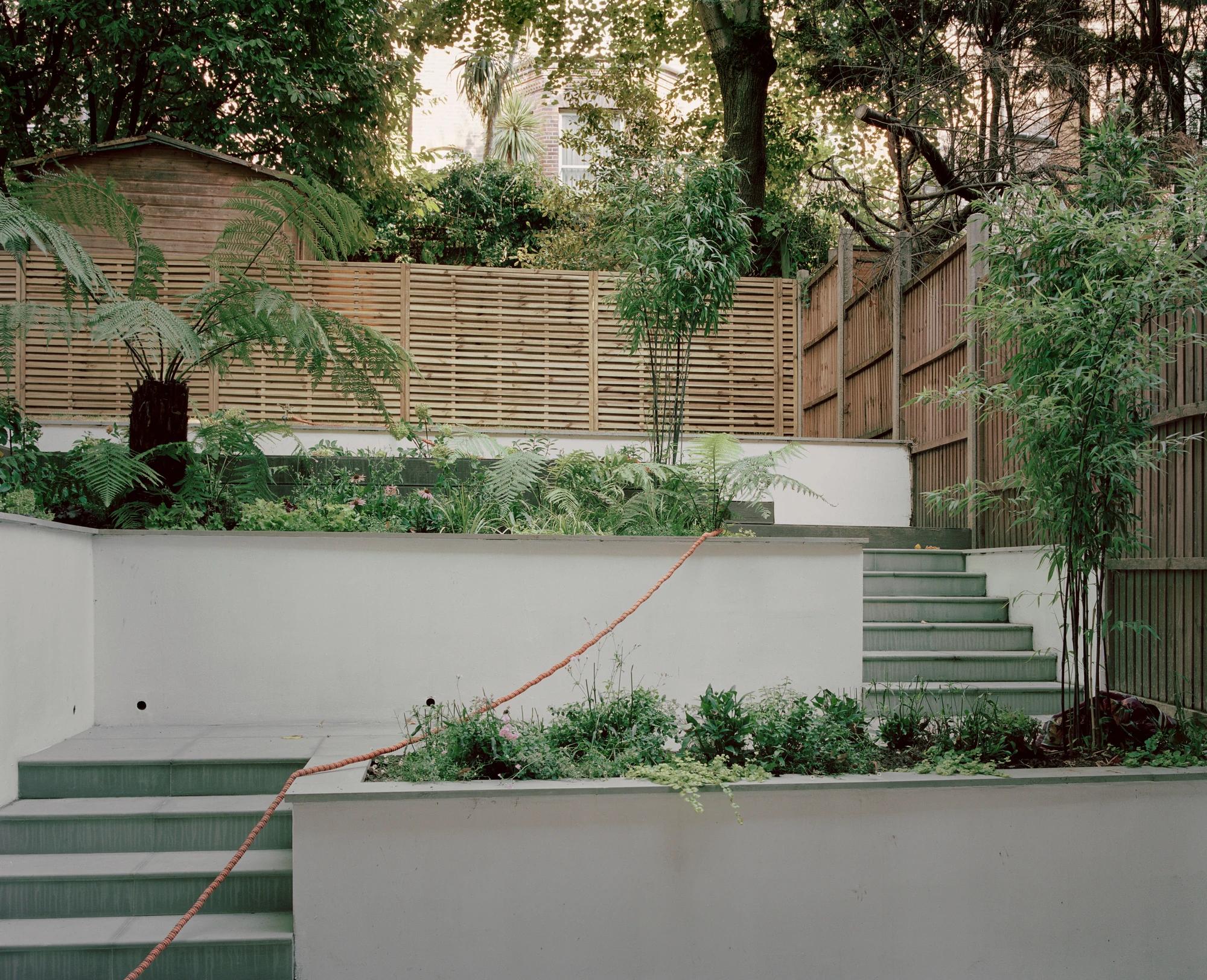 Hampstead House by Twelve Forty One, photographed by Willem Pab — The rear garden rising in terraces, planted beds and a slatted fence closing the boundary.