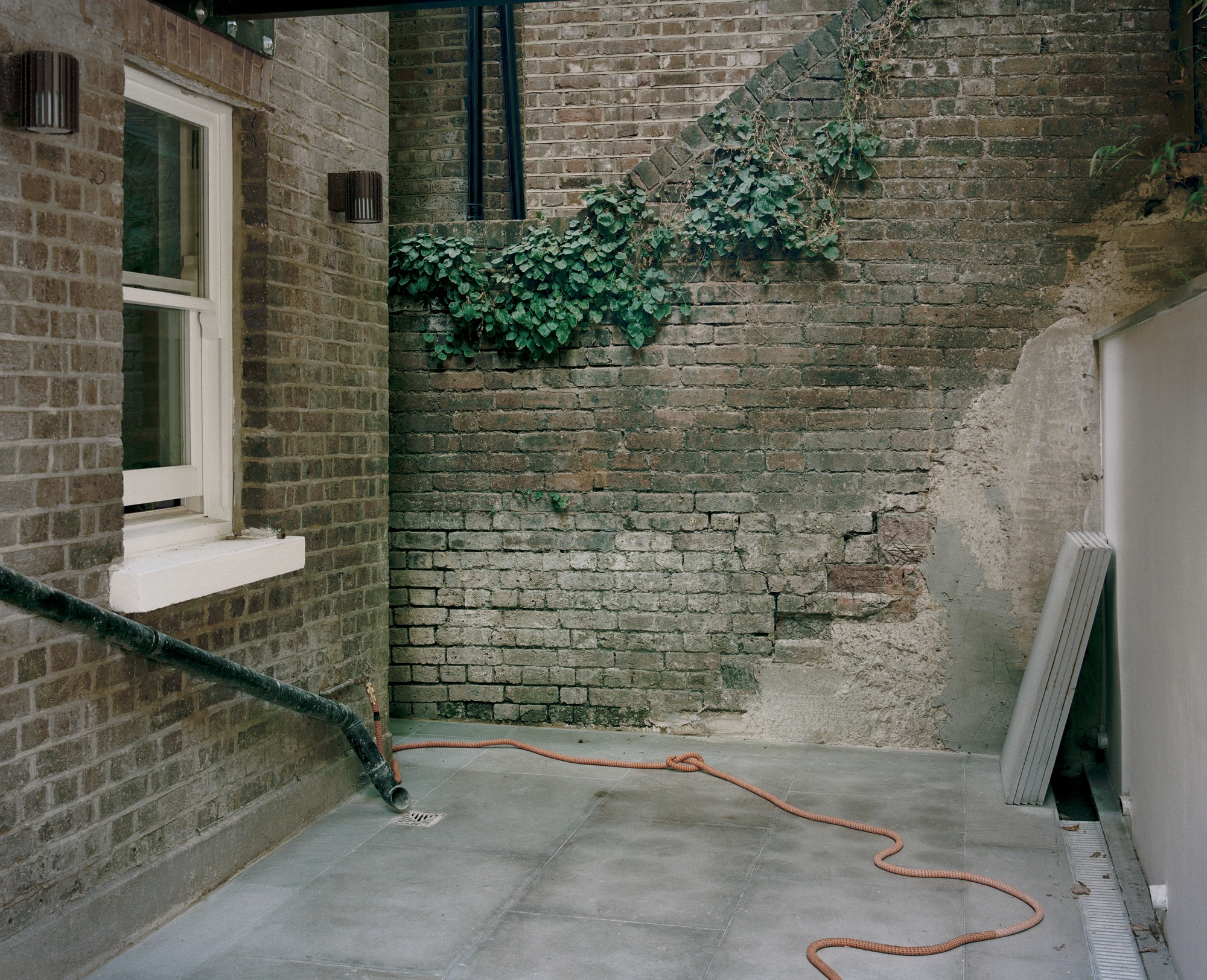 Hampstead House by Twelve Forty One, photographed by Willem Pab — A narrow lightwell beside a white sash window, an older wall left exposed with climbing growth across it.