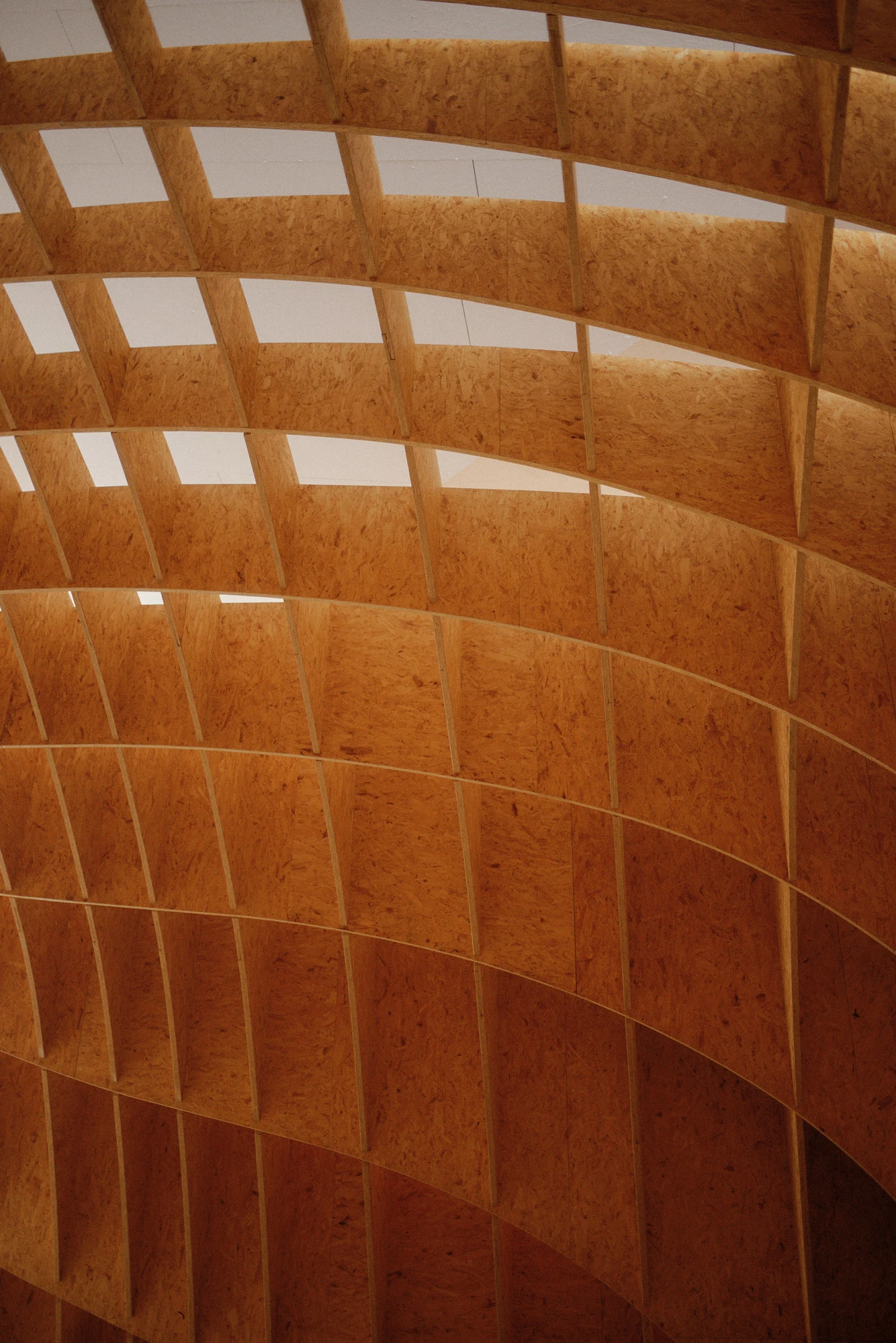 Autobahnkirche Siegerland by schneider+schumacher, photographed by David Altrath — Interior close view of the curving timber ribs and the rectangular roof skylights above.