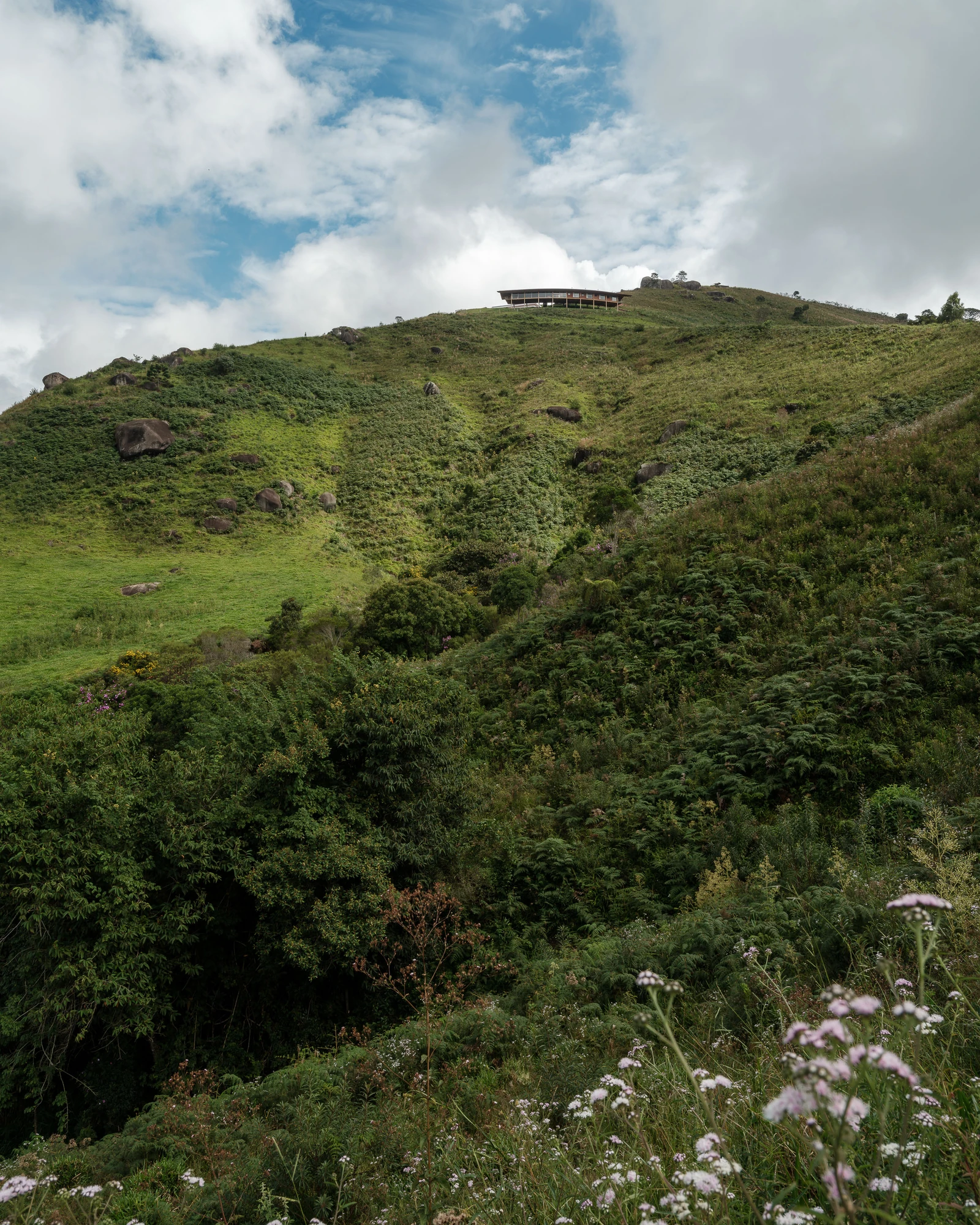 Casa Fazenda Bocaina by Arquipélago Arquitetos + Mariana Caires, photographed by Pedro Kok — The house small on the green hilltop seen from the slope below, wildflowers in the foreground.