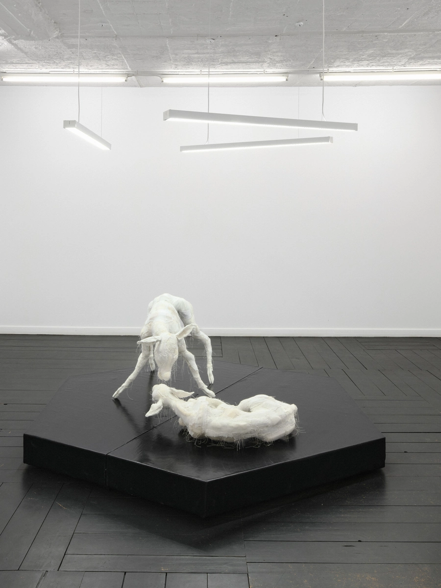 Within and For Each Other by Jan Baszak, photographed by Bartosz Górka — The paired roe deer of Within and For Each Other on their plinth in the main room.