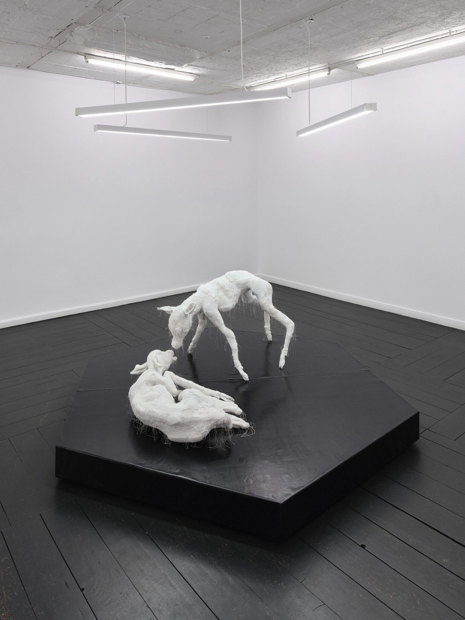 Within and For Each Other by Jan Baszak, photographed by Bartosz Górka — Within and For Each Other on its plinth, one roe deer standing over the other.