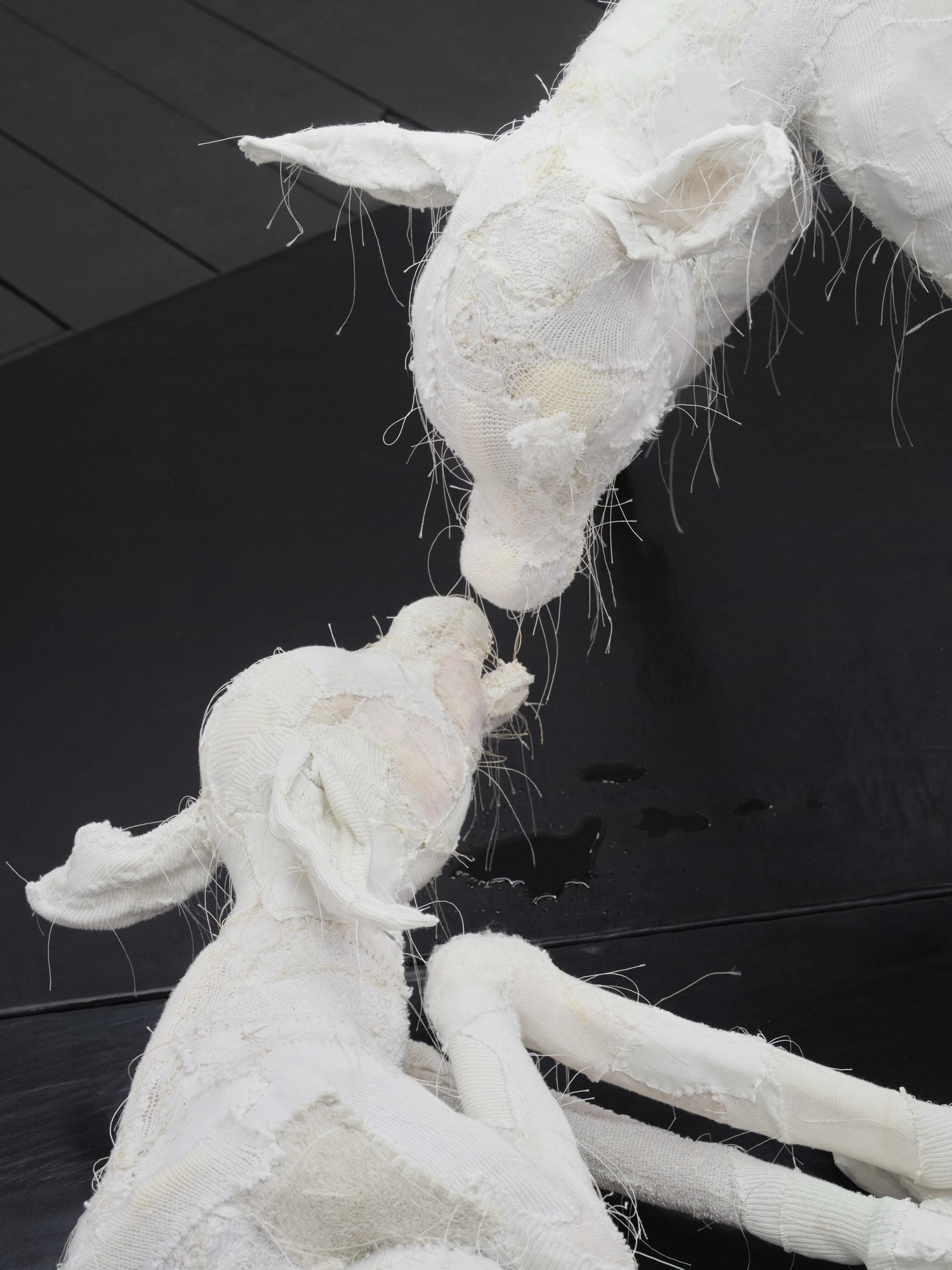 Within and For Each Other by Jan Baszak, photographed by Bartosz Górka — The two heads of Within and For Each Other, close up.