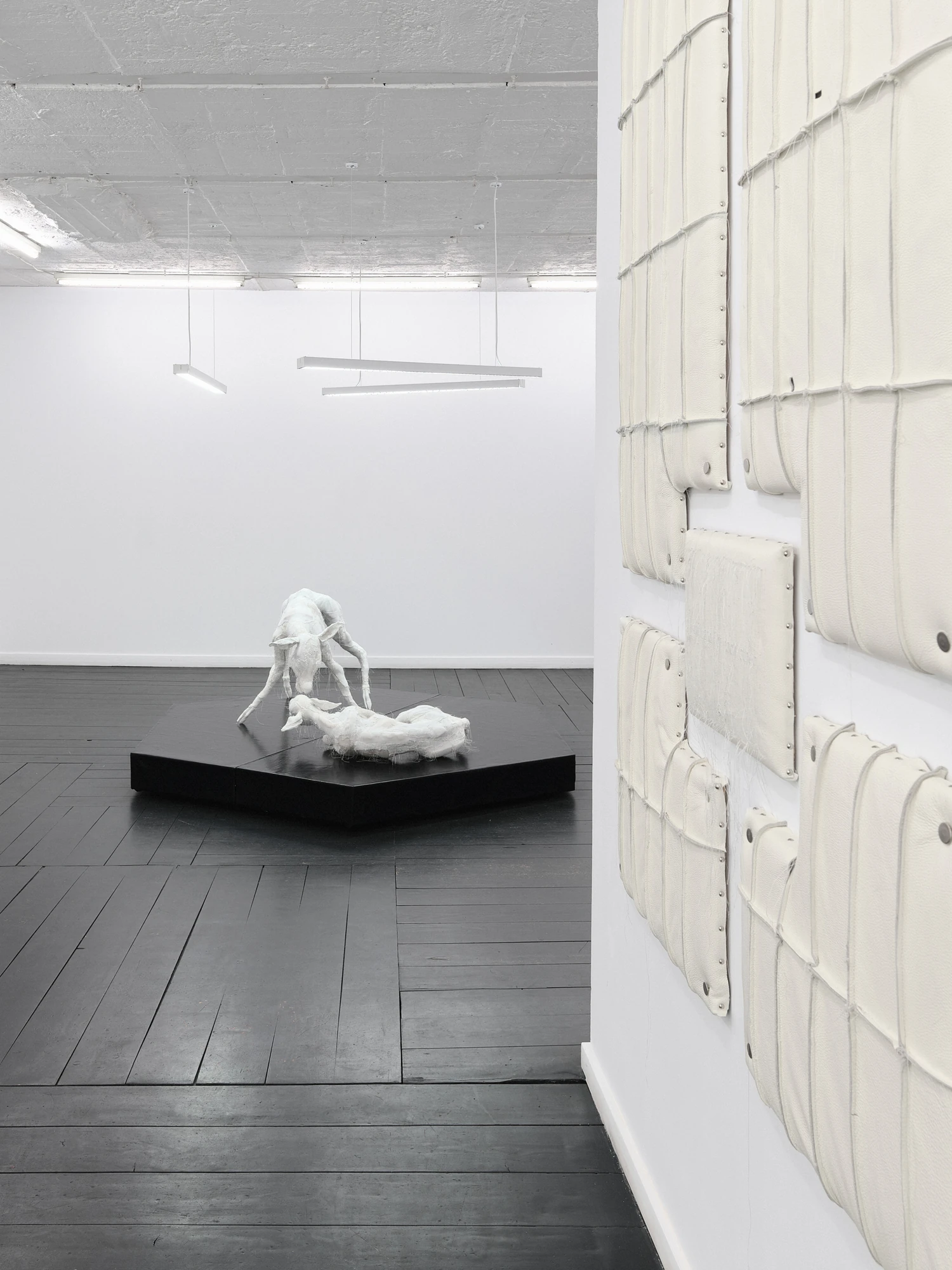 Within and For Each Other by Jan Baszak, photographed by Bartosz Górka — Exhibition view with the roe deer pair in the distance and Relief 03 on the right wall.