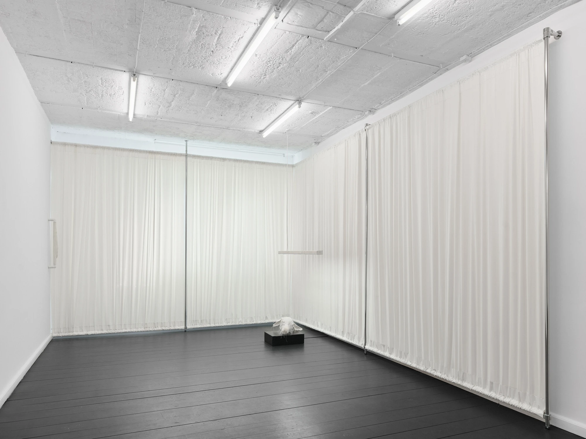 Within and For Each Other by Jan Baszak, photographed by Bartosz Górka — Exhibition view of the curtained room with To Flow My Tears on a plinth in the corner.
