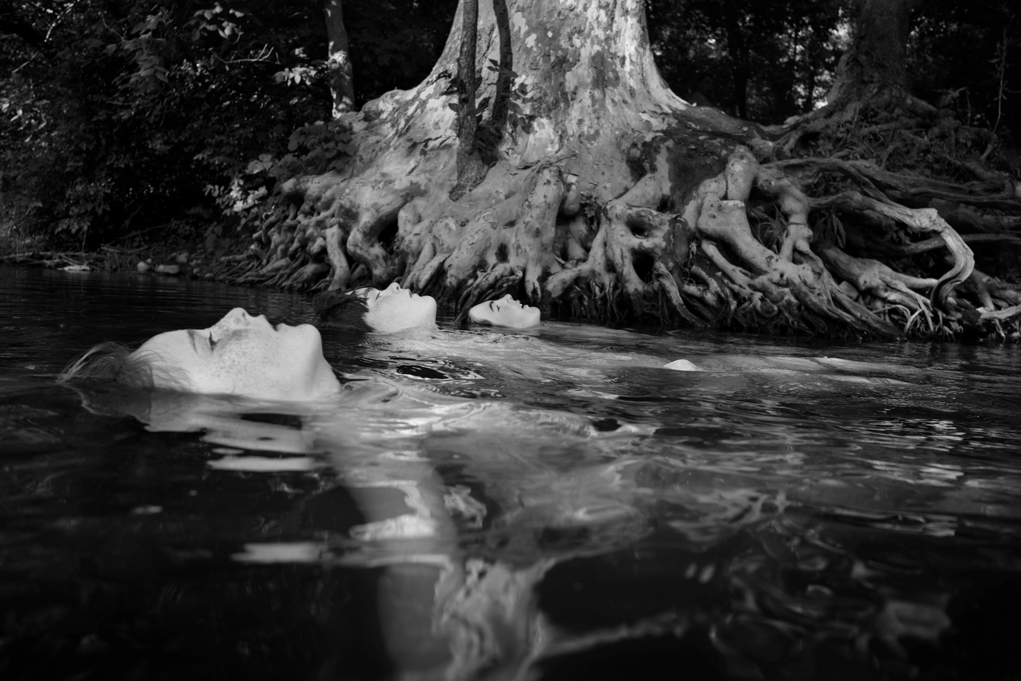 Down by the Hudson by Caleb Stein, photographed by Caleb Stein — Matthew, Jackson, and Oden (2018), three faces floating in a row on the surface beneath a rooted tree