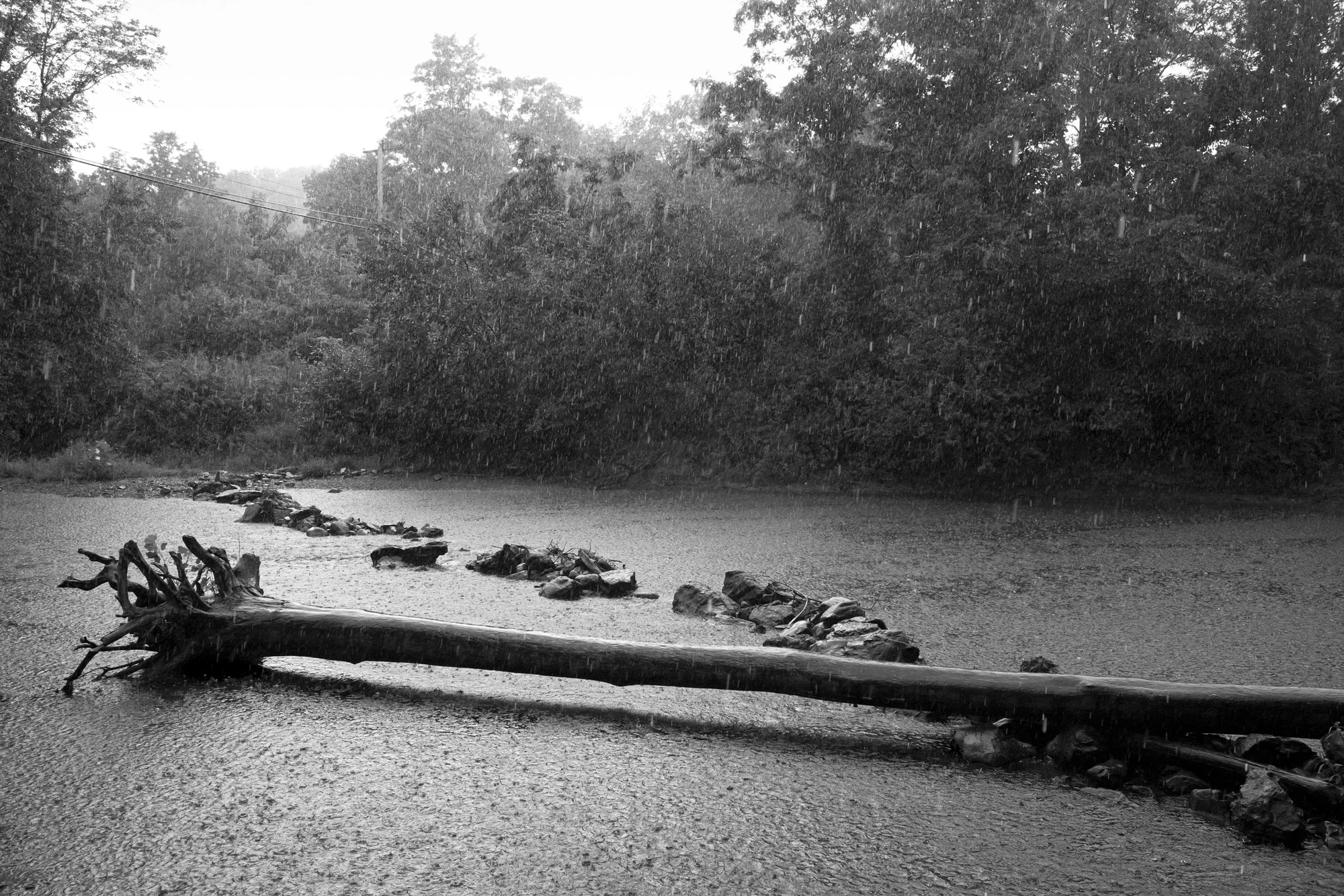 Down by the Hudson by Caleb Stein, photographed by Caleb Stein — Log in Rain (2020), a fallen trunk stretched across the creek among rocks as rain stipples the surface