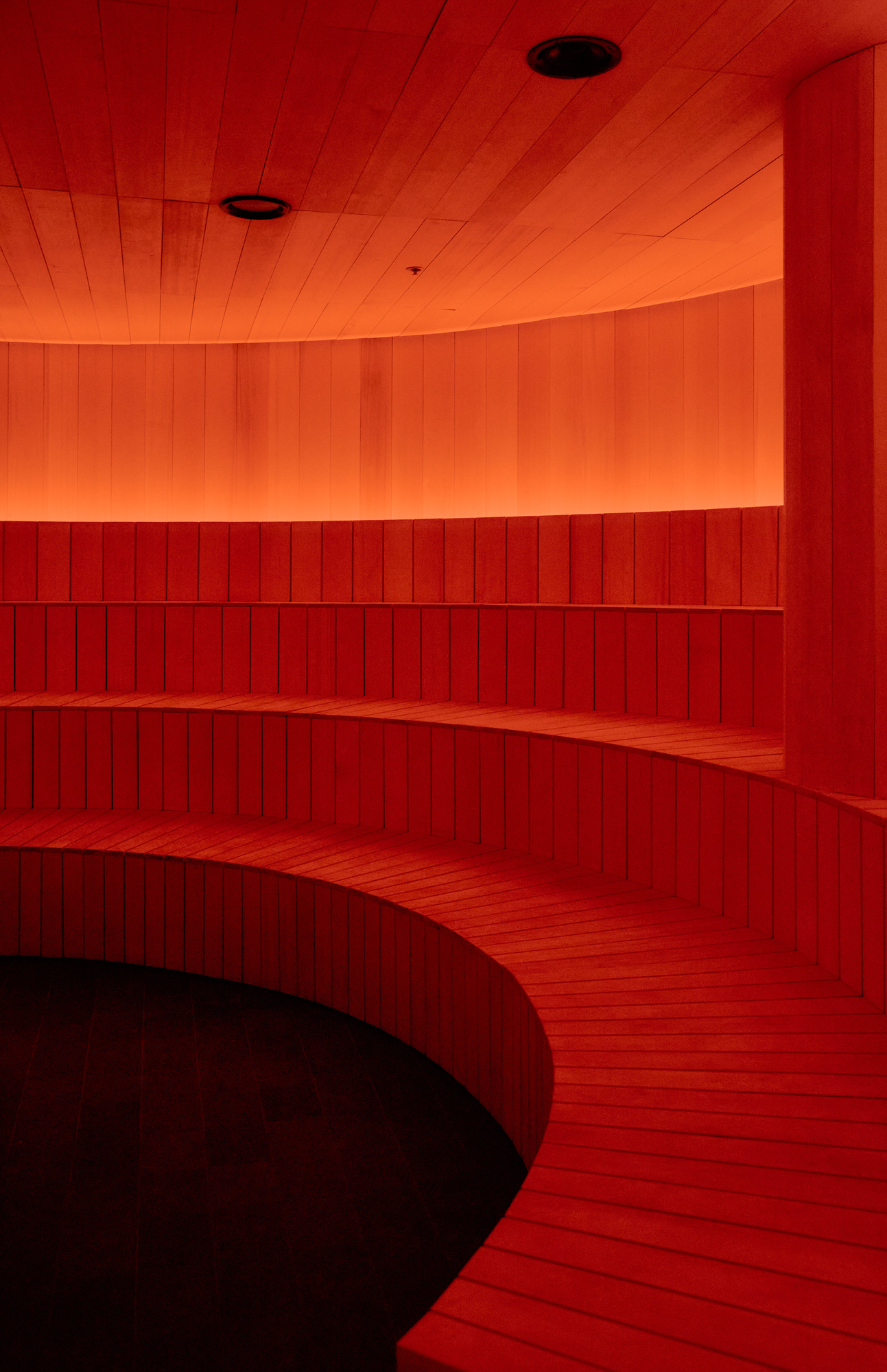 The Altar by MV-LLC — The curved terraced benches of the sauna, built in cedar for the Aufguss ritual.