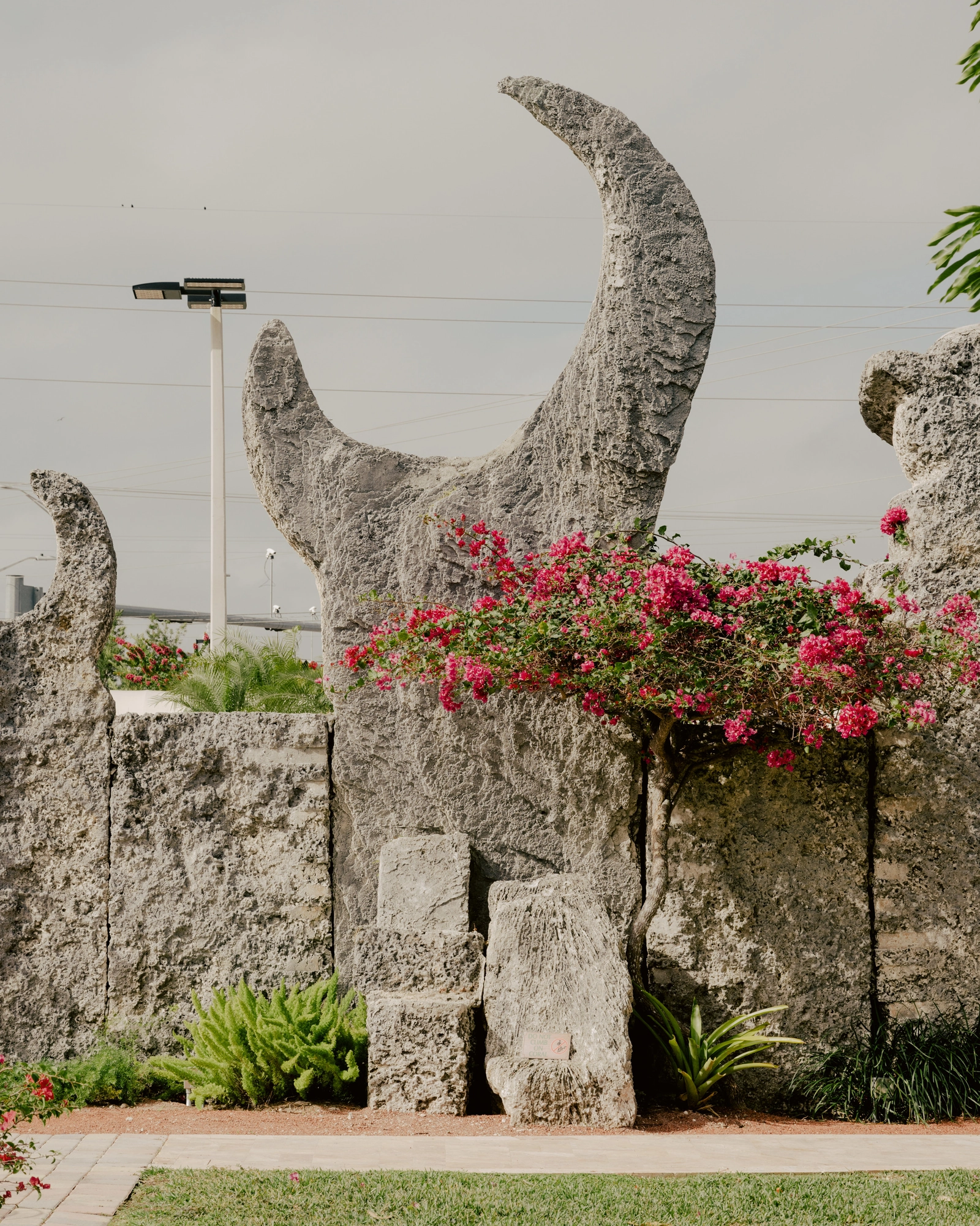 Paradise by Daniel Dorsa, photographed by Daniel Dorsa — Carved stone forms, one shaped like a crescent, beside a bush in pink flower, with a street lamp behind.