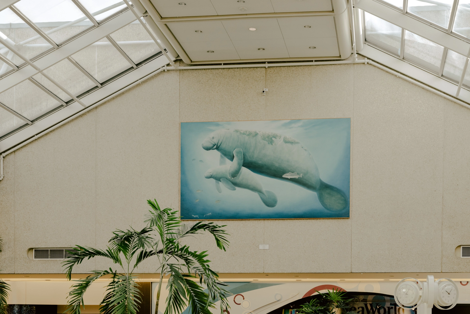 Paradise by Daniel Dorsa, photographed by Daniel Dorsa — A painting of manatees on a wall under a glazed roof, with palms below.