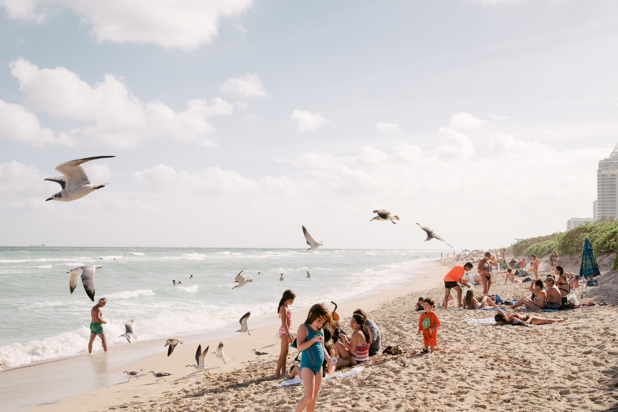 Paradise by Daniel Dorsa, photographed by Daniel Dorsa — A beach with swimmers in the water, people on the sand and gulls in flight.