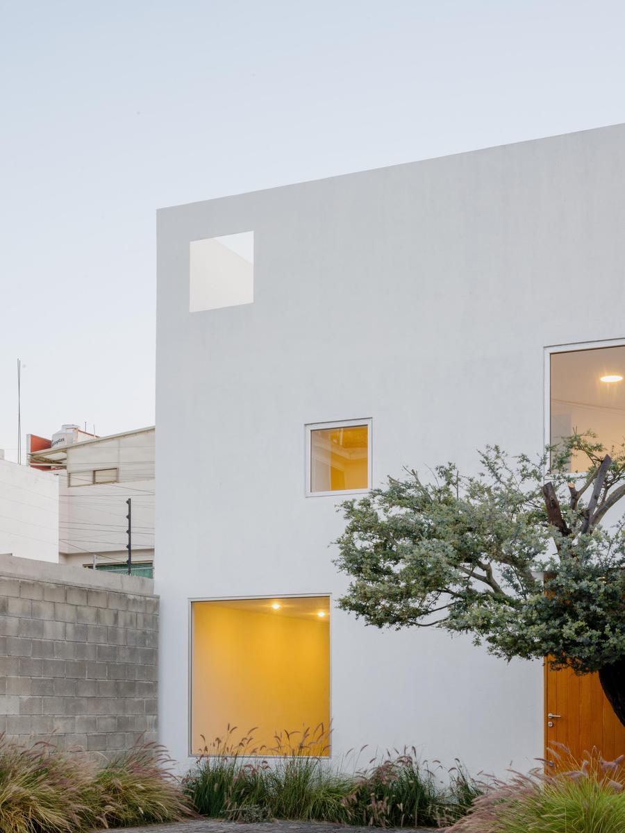 House Within a Cube I by operadora, photographed by Arturo Arrieta — One corner of the rendered house, a small high window and a lit window above a lit ground-floor opening, grasses below and a tree beside it.