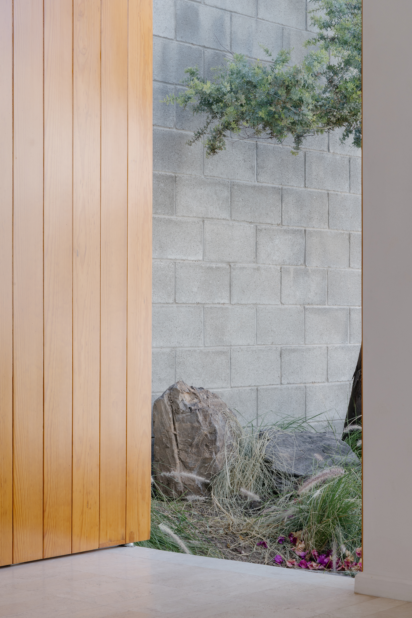 House Within a Cube I by operadora, photographed by Arturo Arrieta — A detail of the open door leaf against the wall outside, a rock and grasses at its foot, the floor just inside.