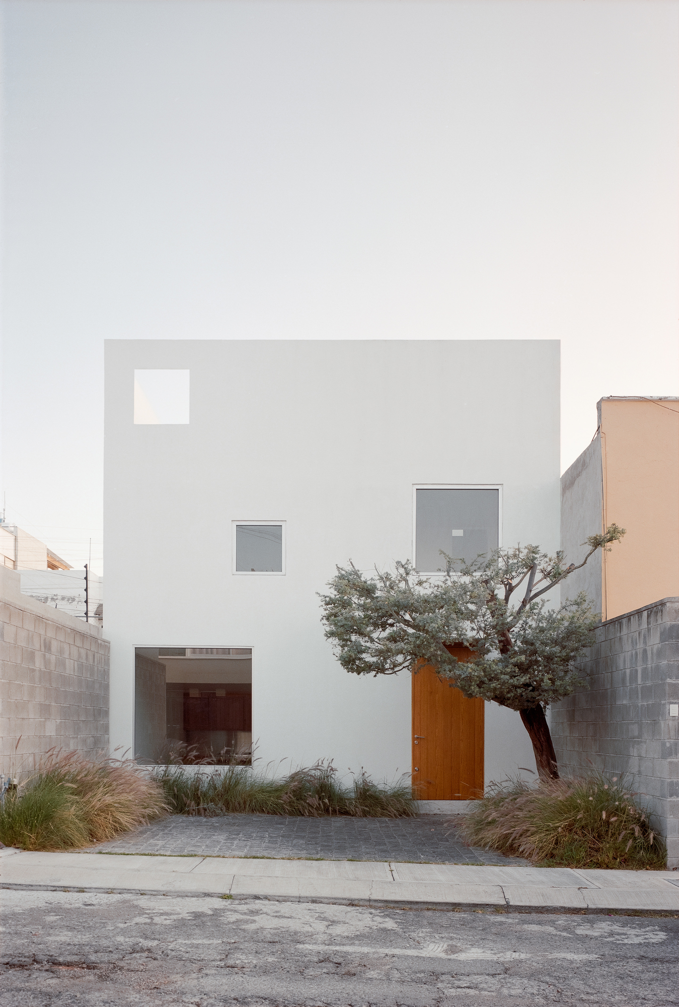 House Within a Cube I by operadora, photographed by Arturo Arrieta — Film photograph of the rendered cube seen square on from the street, a square window high in the front, the door below the tree, and grasses between the two side walls.