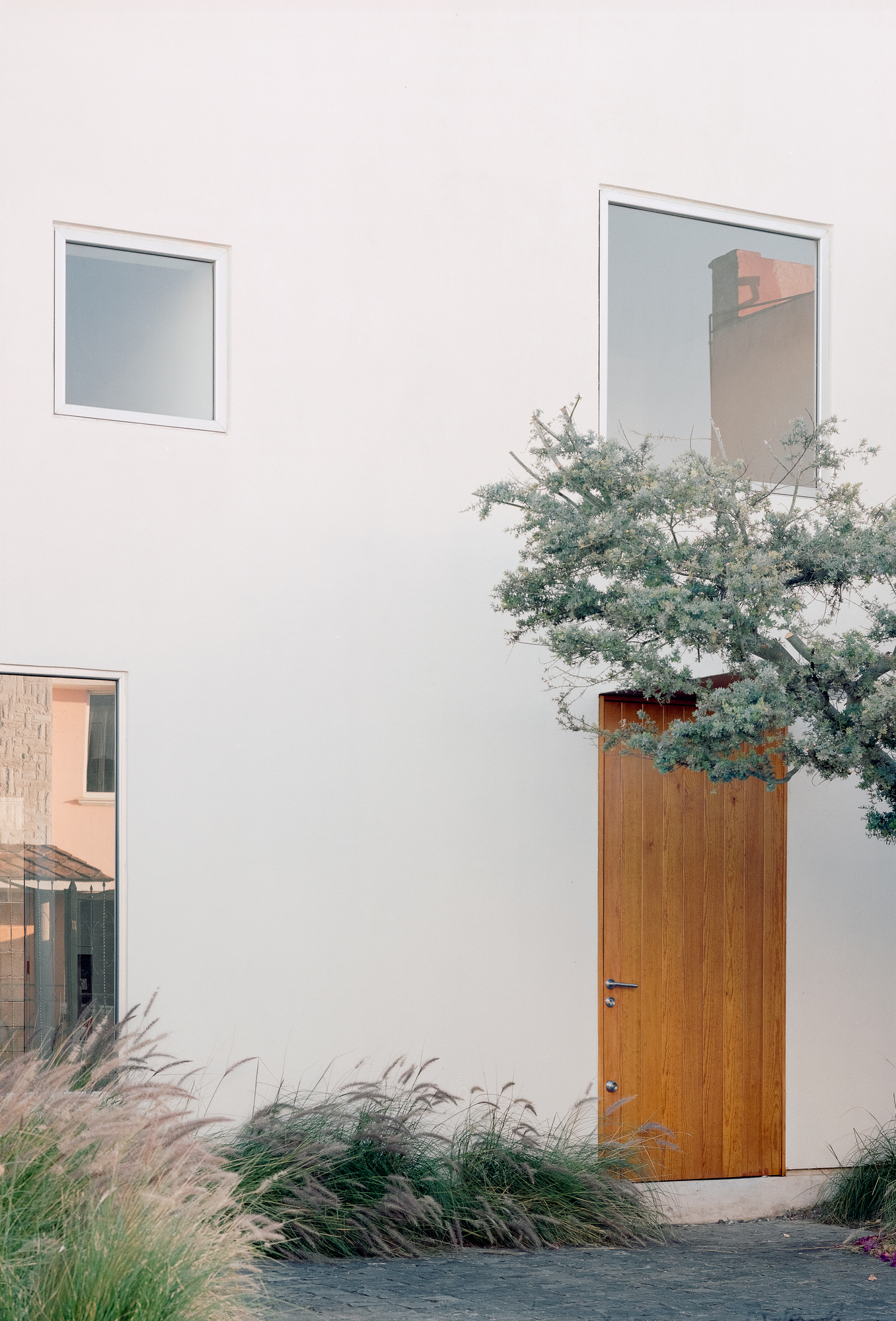 House Within a Cube I by operadora, photographed by Arturo Arrieta — Film photograph of the door at right beneath the tree, two windows high in the rendered wall, and tall grasses across the foreground.