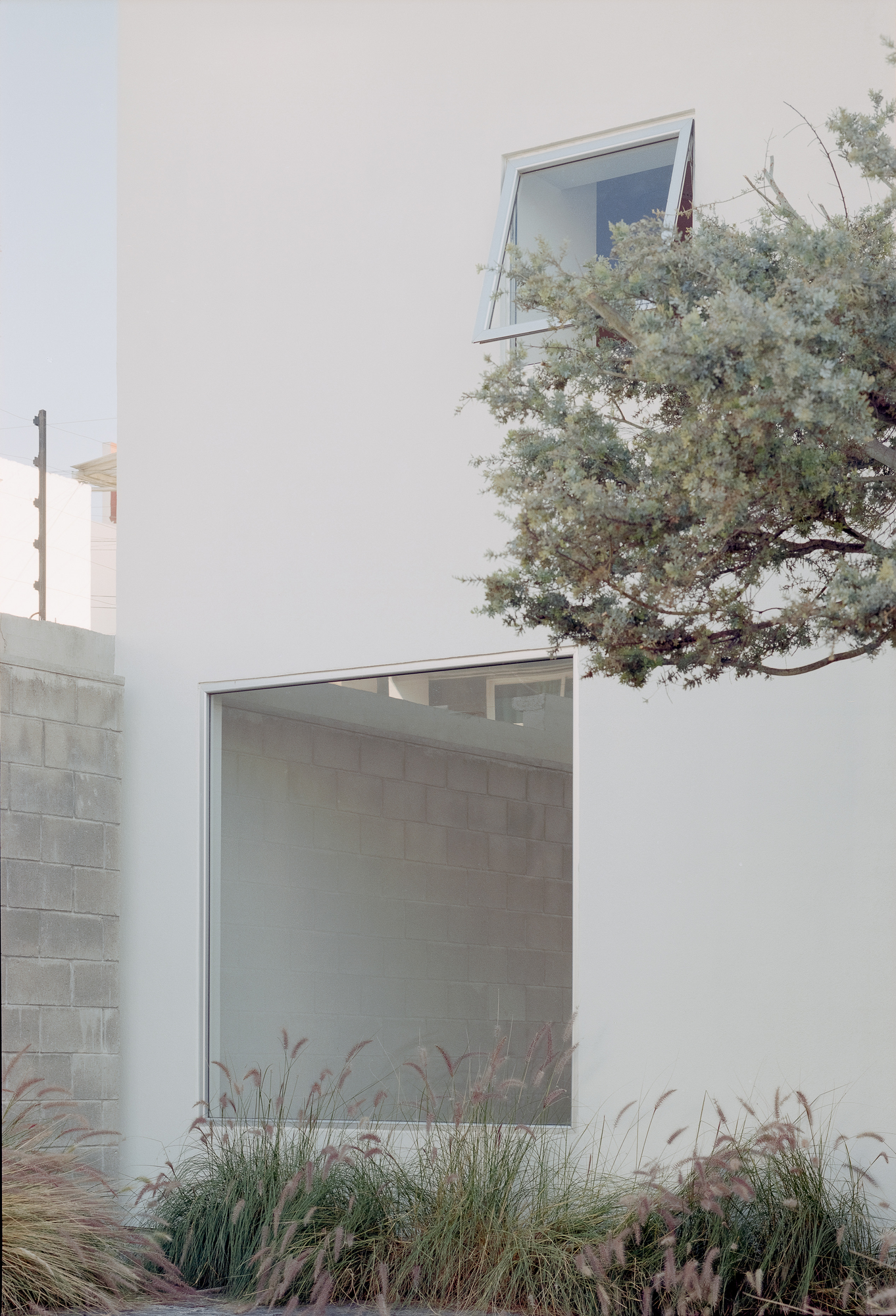 House Within a Cube I by operadora, photographed by Arturo Arrieta — Film photograph of the rendered wall, a window propped open above a large ground-floor opening, grasses at the base, a side wall at left and the tree at right.