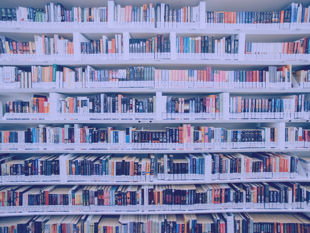 Input vs. Output—What Is the Right Mix for English Learners?