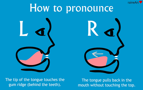 Tongue position explanation for English pronunciation of L and R.