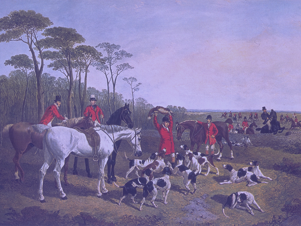 Fox Hunting: Britain’s Most Controversial Tradition