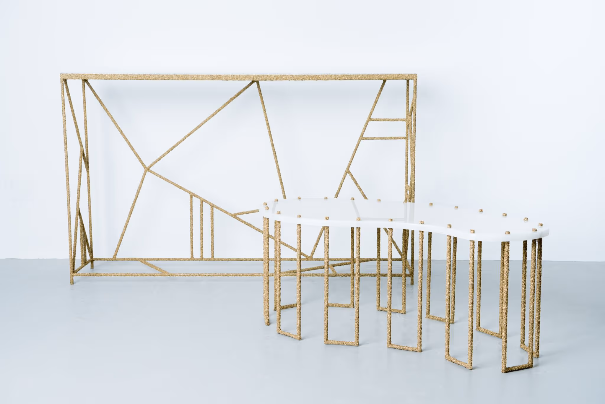 Samuel Amoia DeLorenzo Gallery