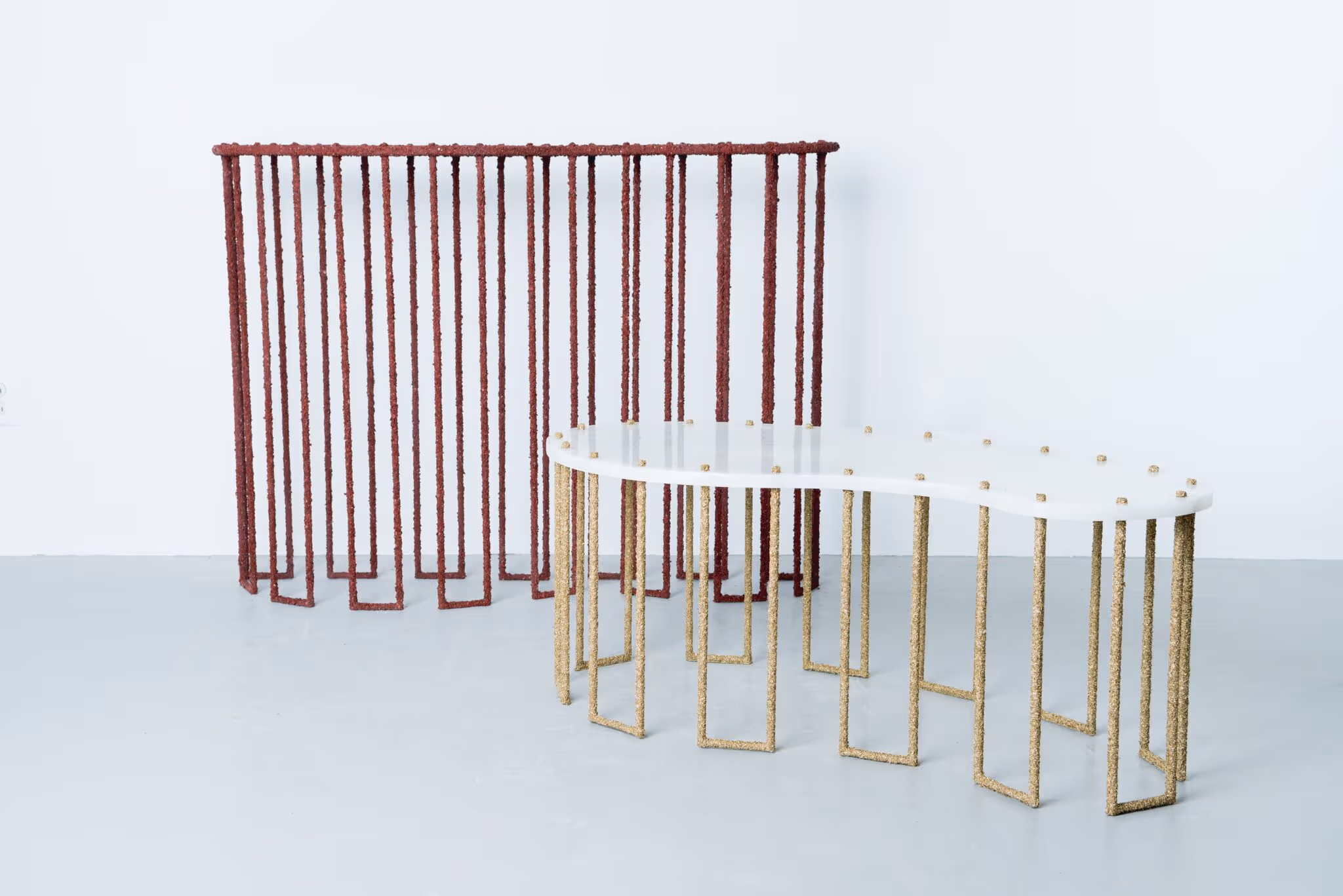 Samuel Amoia DeLorenzo Gallery