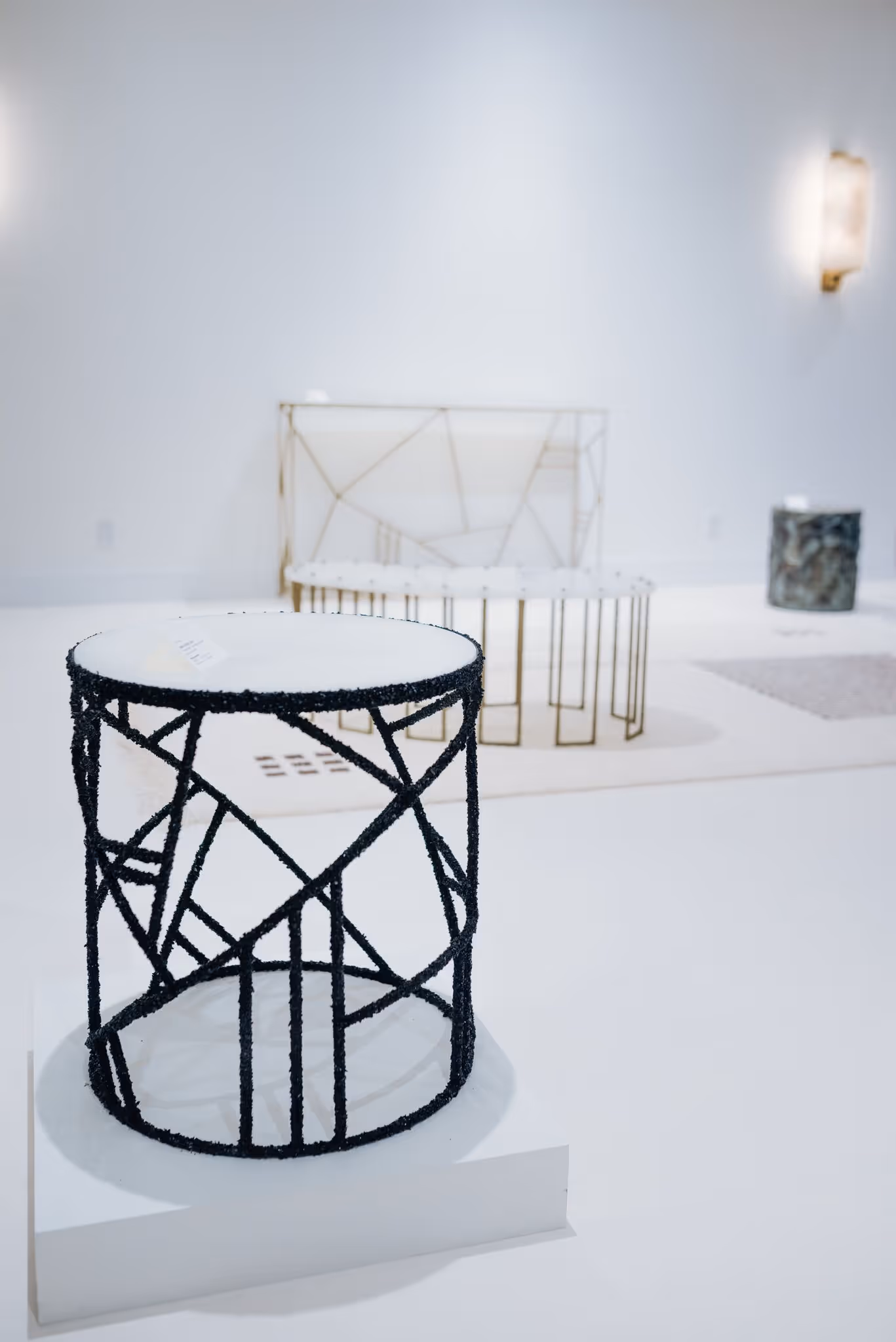 Samuel Amoia DeLorenzo Gallery