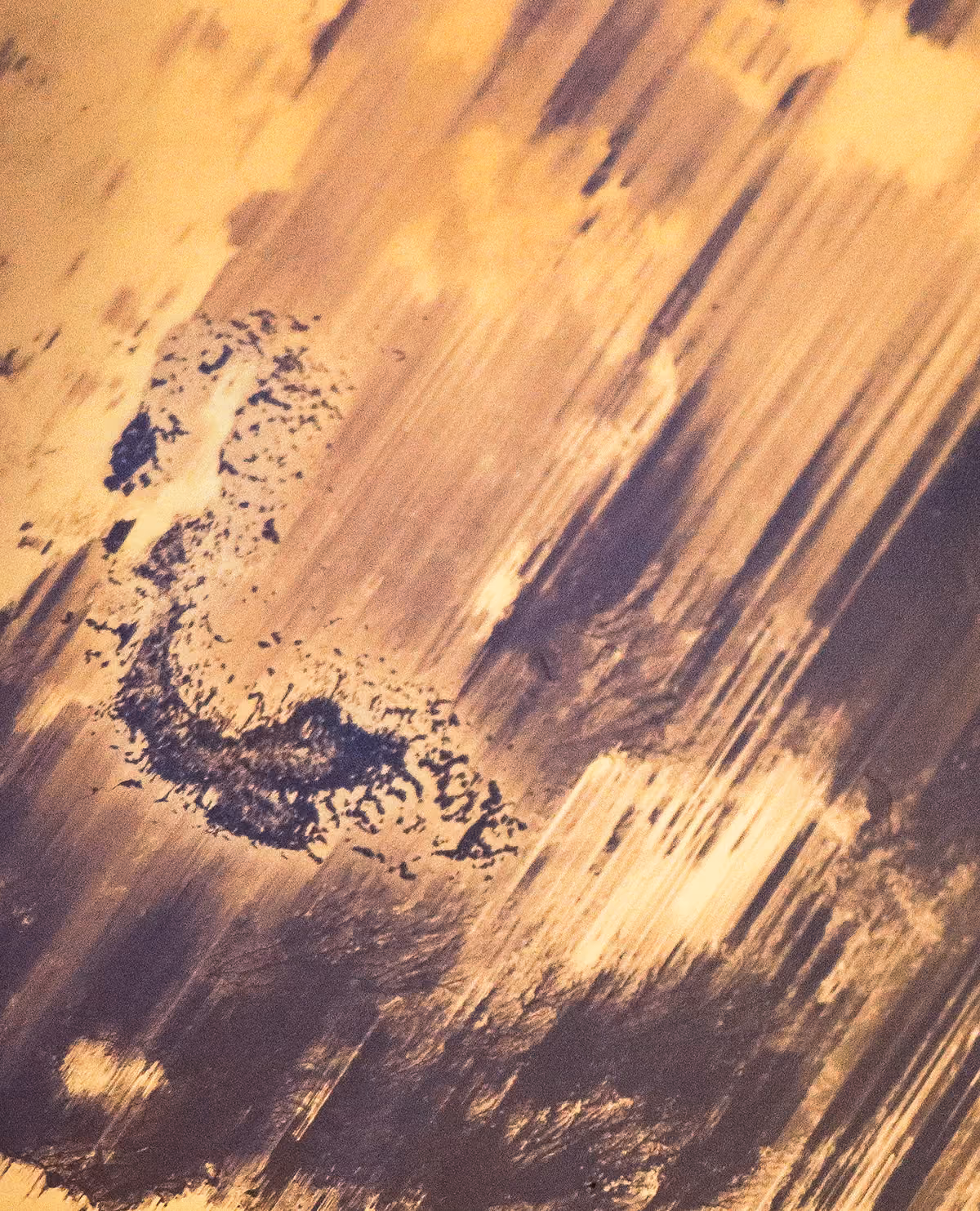 Waterfall — plate 1