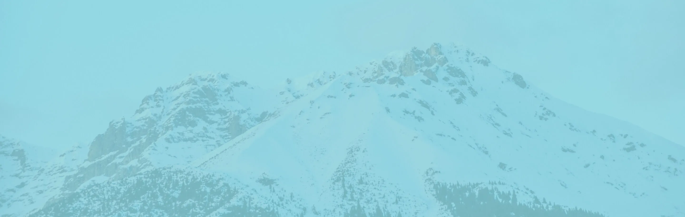 saas seo