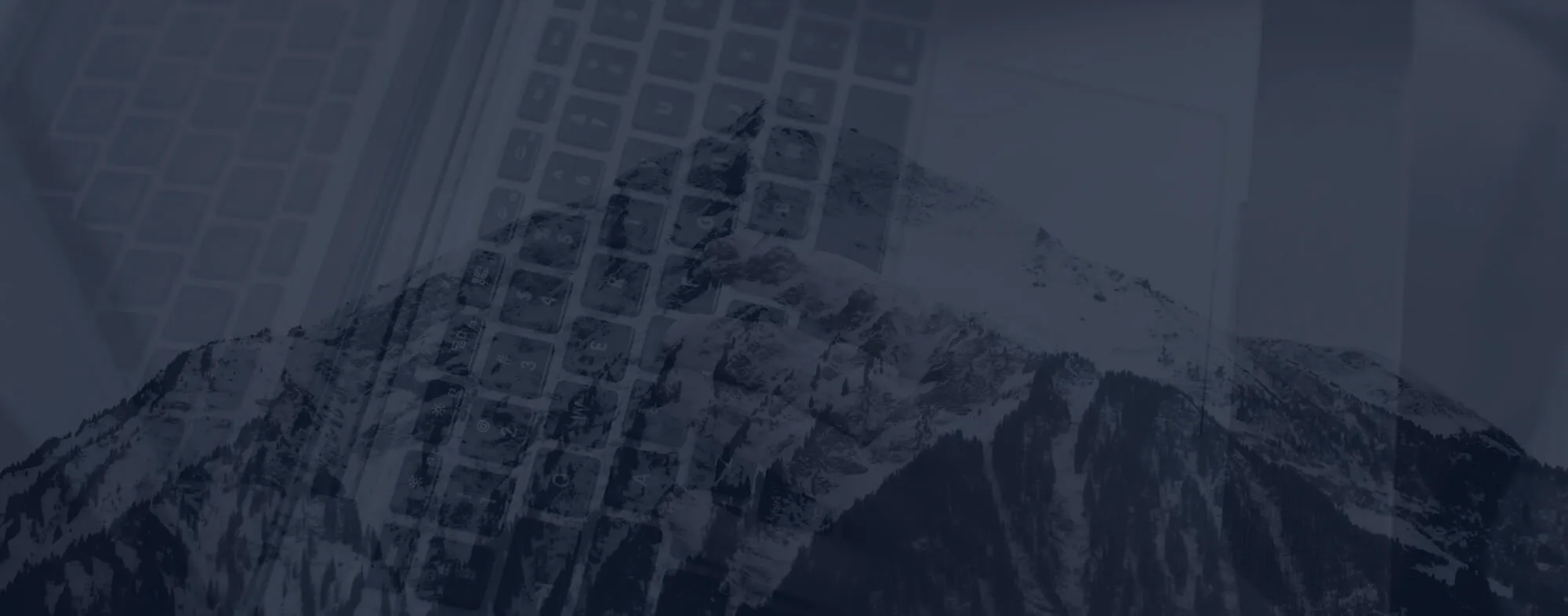 adwords & ppc services