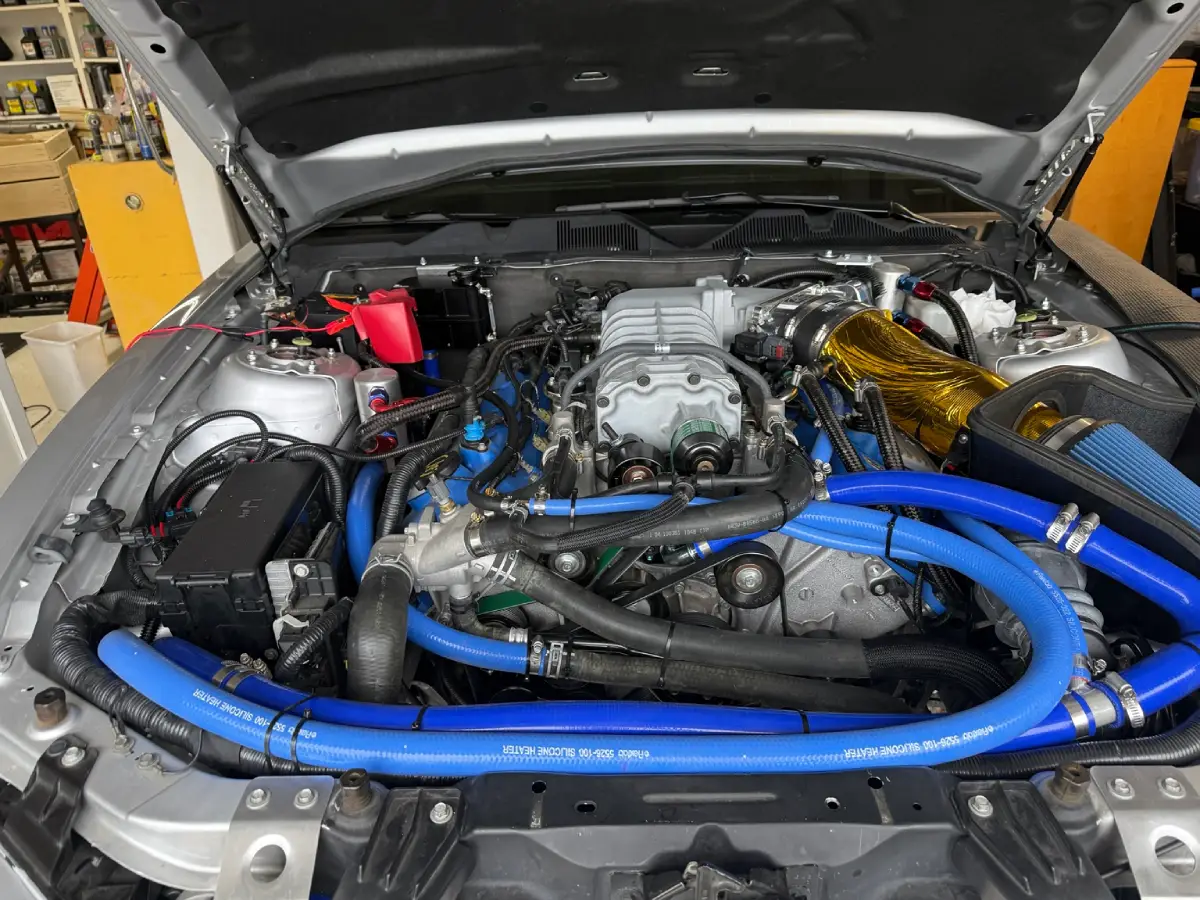 2012 GT500 engine bay after reassembly, with the supercharger, drive belt, blue coolant hoses, and gold-wrapped intake.