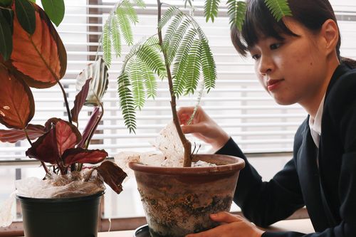 Gendered Experiences in Japan’s New Graduate Recruitment Practices