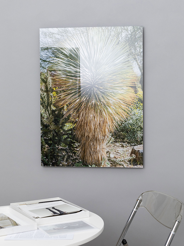 Acrylic photo print displayed on a wall above a table and chair