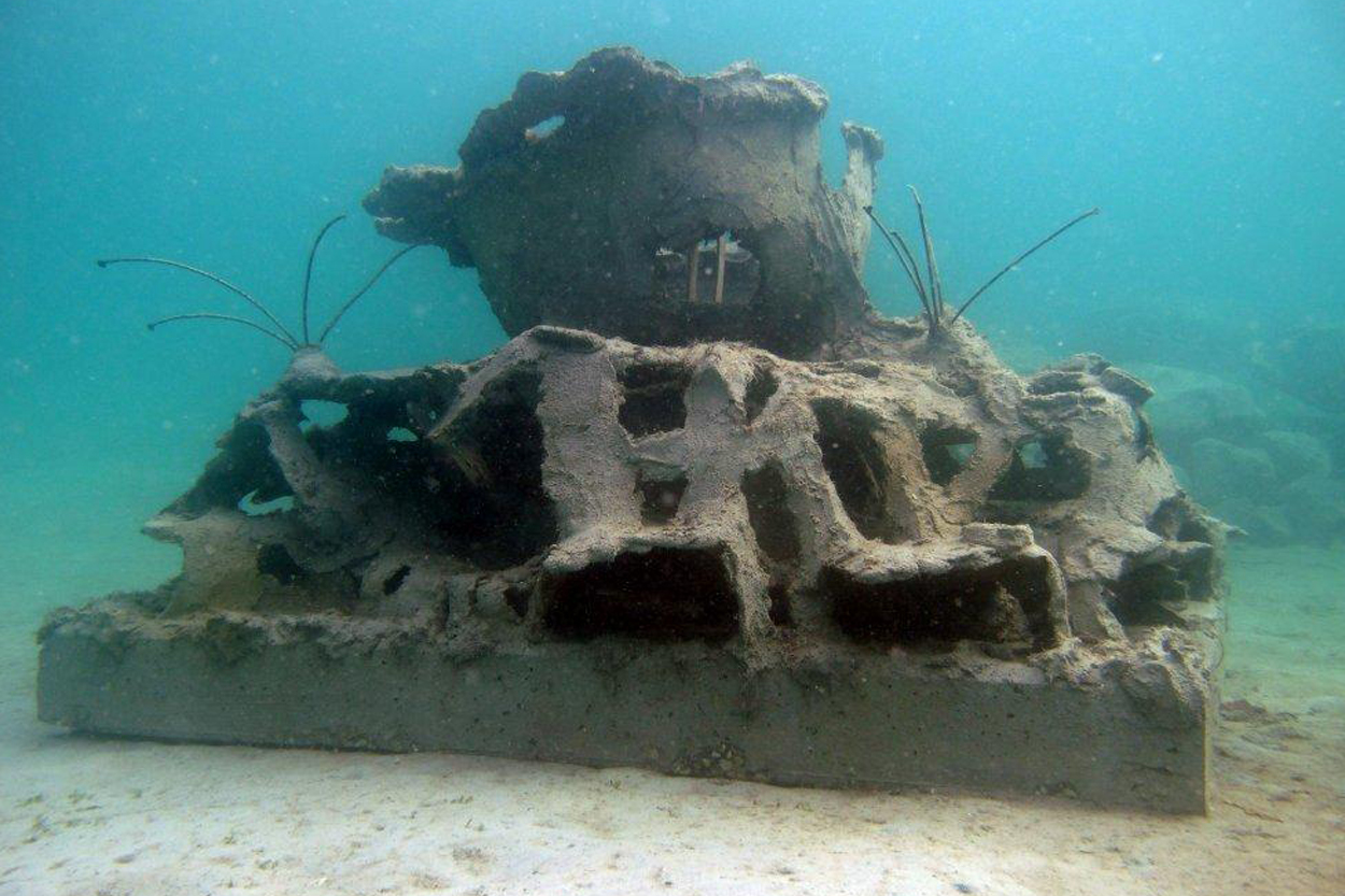 a Reef Cells module right after deployment