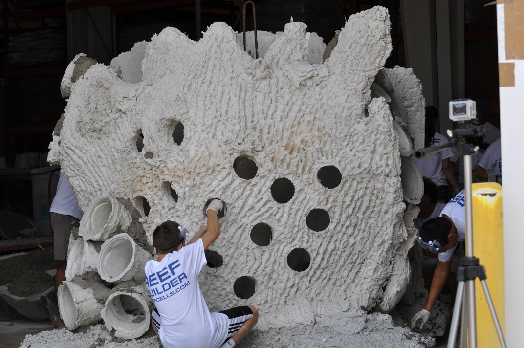 a large Reef Cells reef being finished