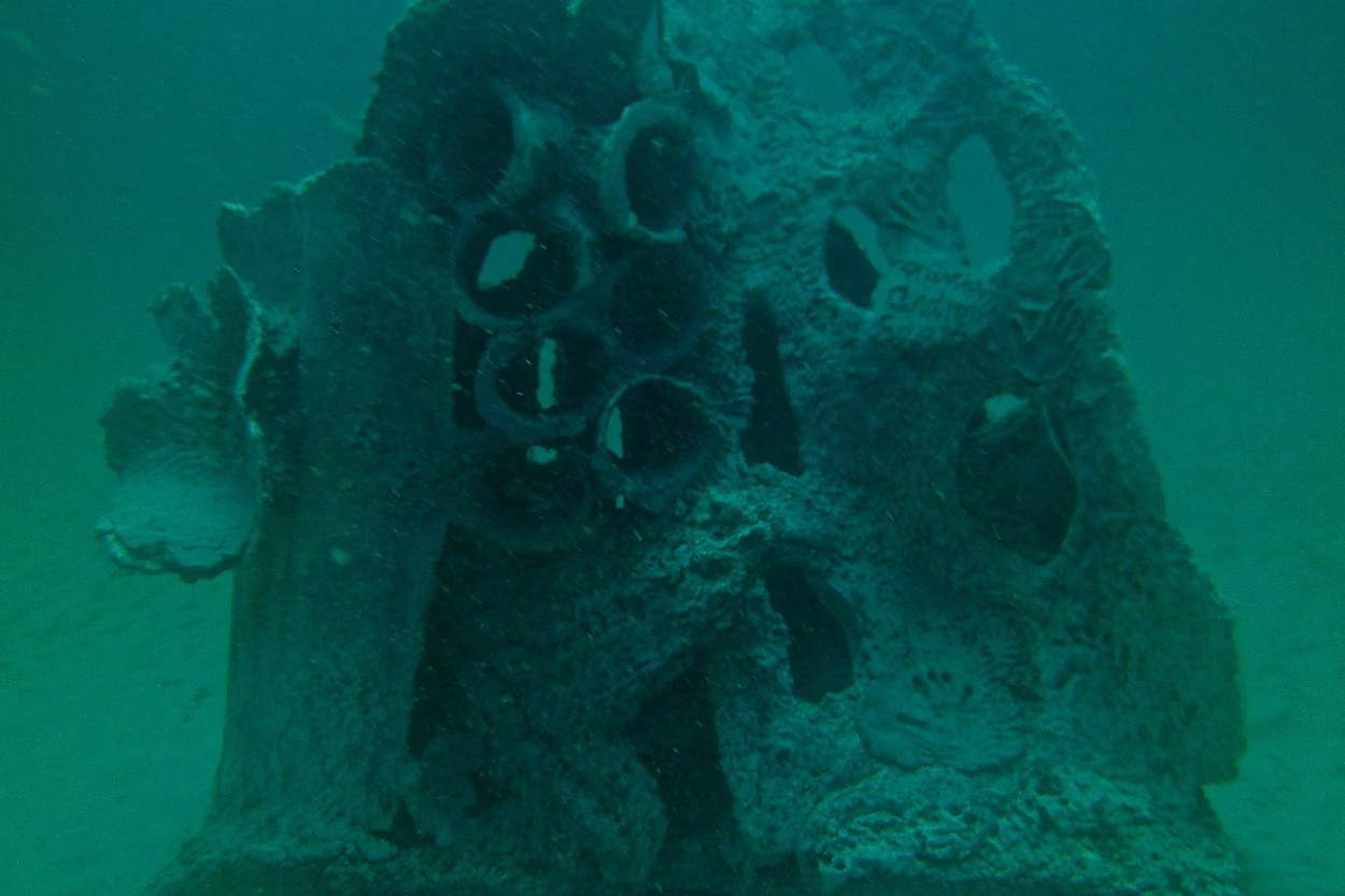 Undewater Reef Cells reefs
